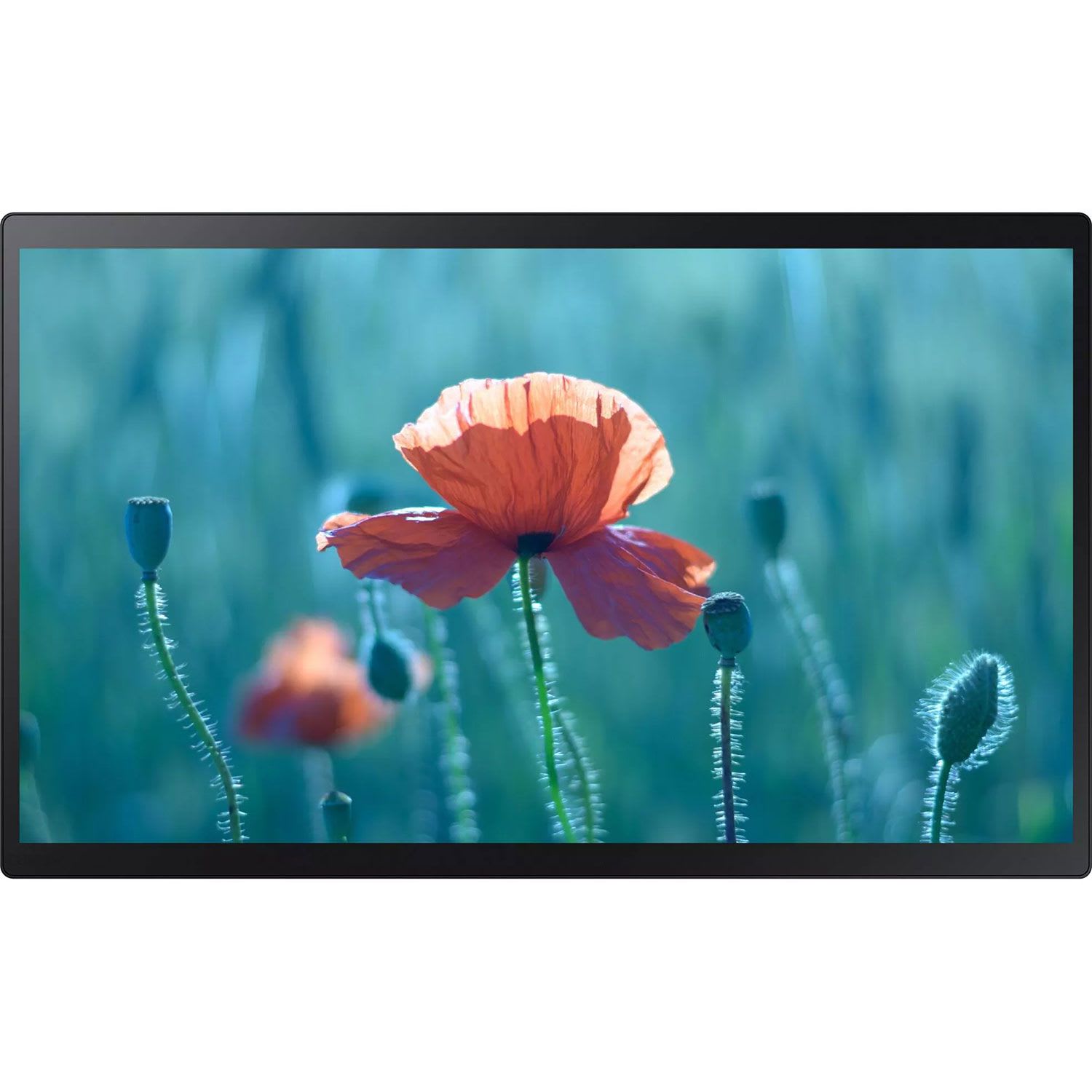 Samsung Digital Signage 23.8″ QB24R-TB