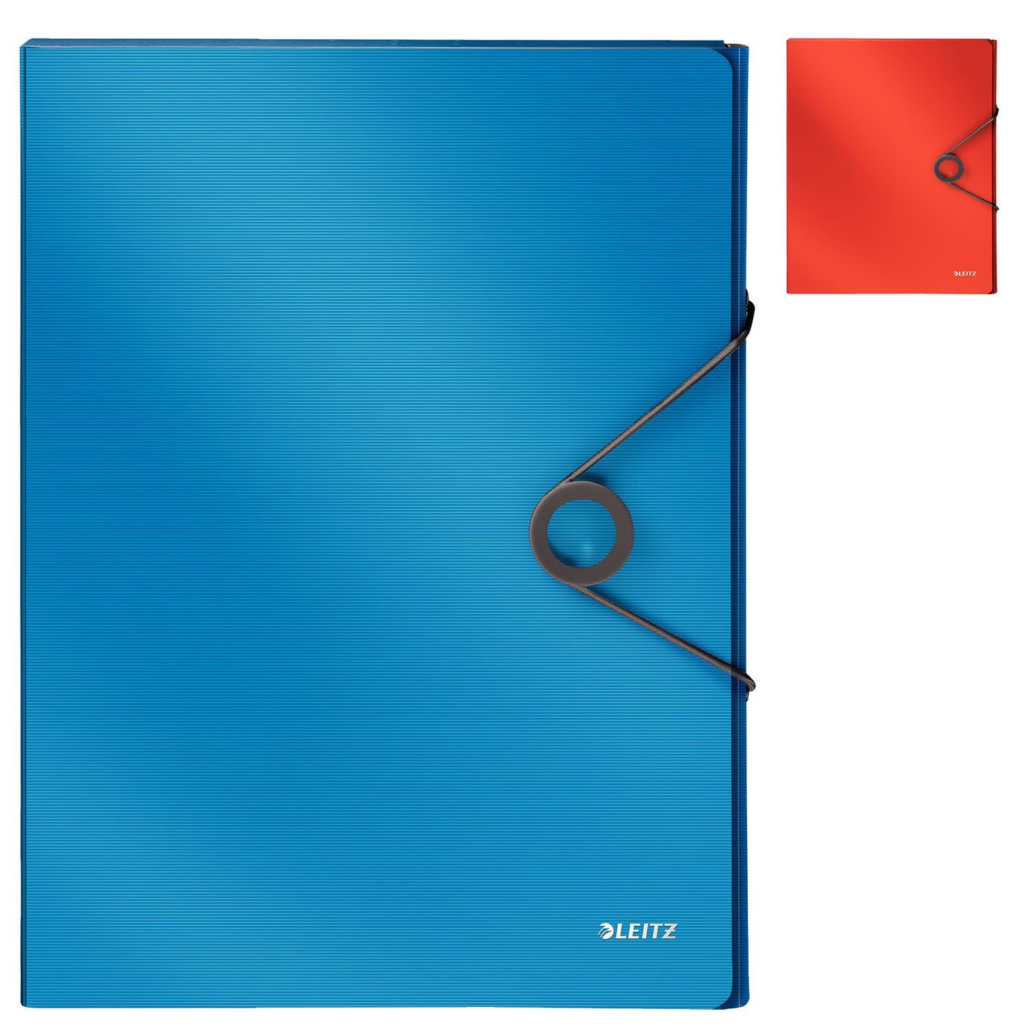 Leitz Κουτί Αρχείου με Λάστιχο 25x33x3cm