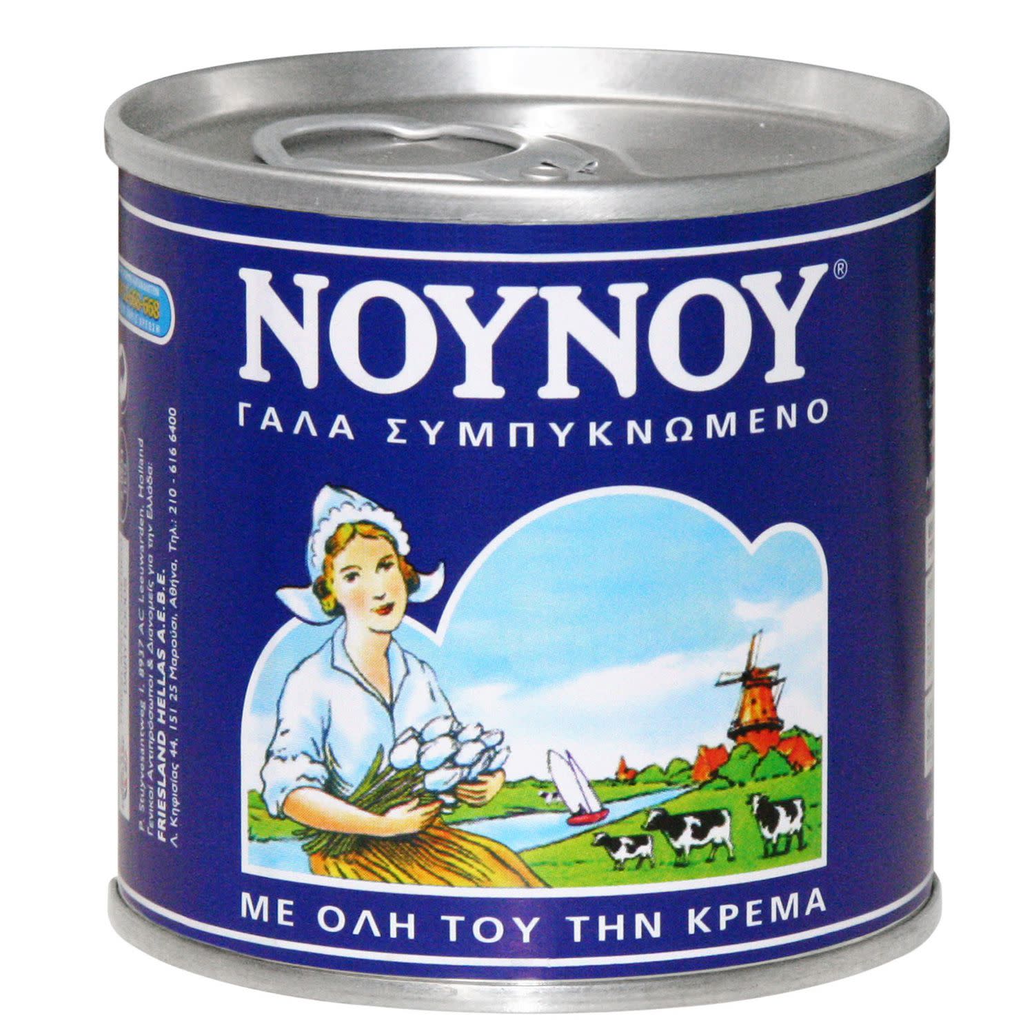 NOYNOY Γάλα Εβαπορέ Πλήρες170gr