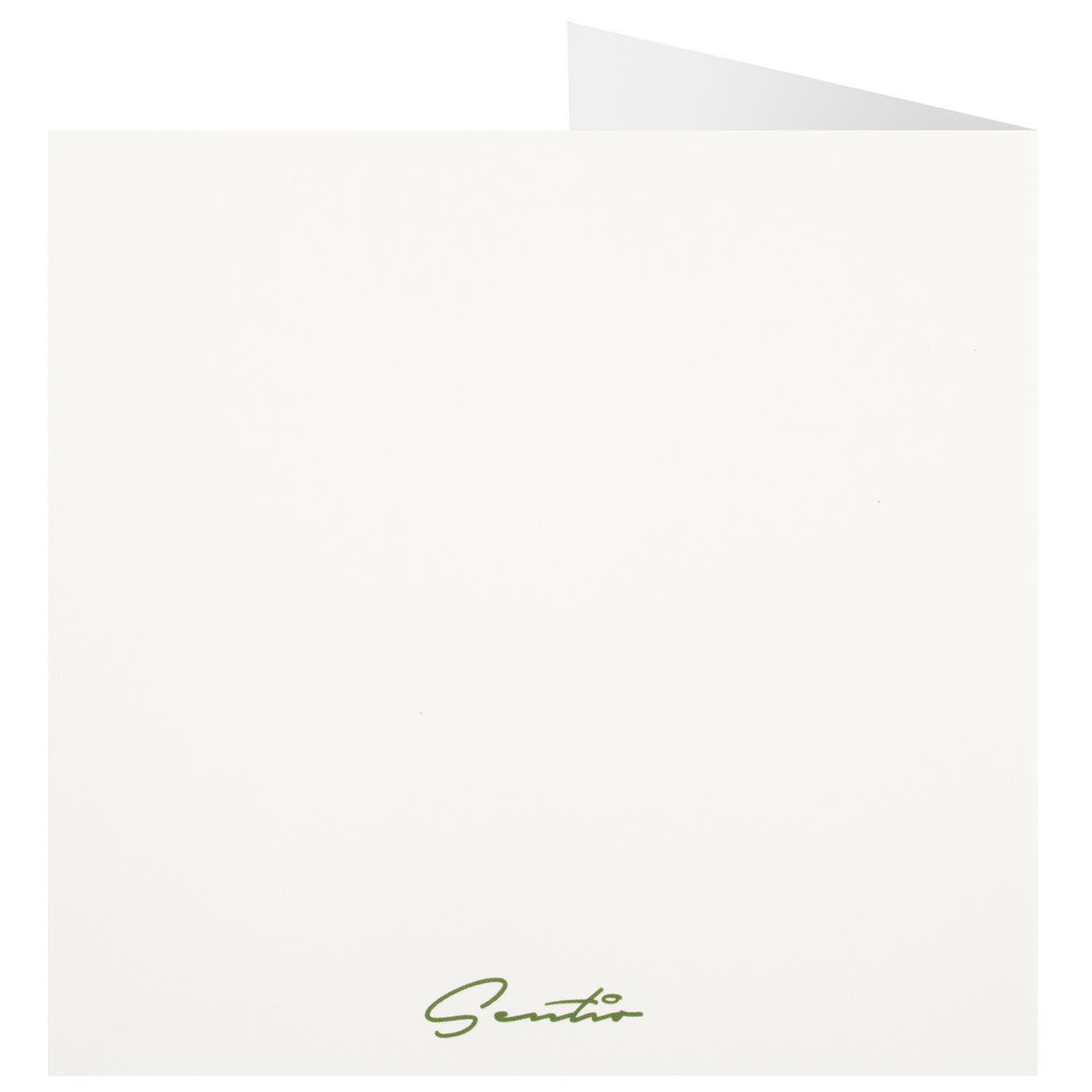 Εικόνα 3 του Sentio Ευχετήρια Κάρτα Age 60