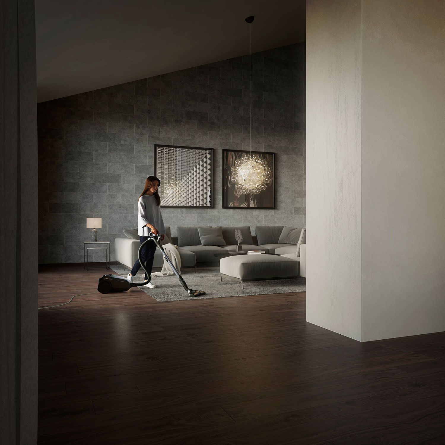 Εικόνα 11 του AEG Σκούπα Με Σακούλα VX82-1-ÖKO