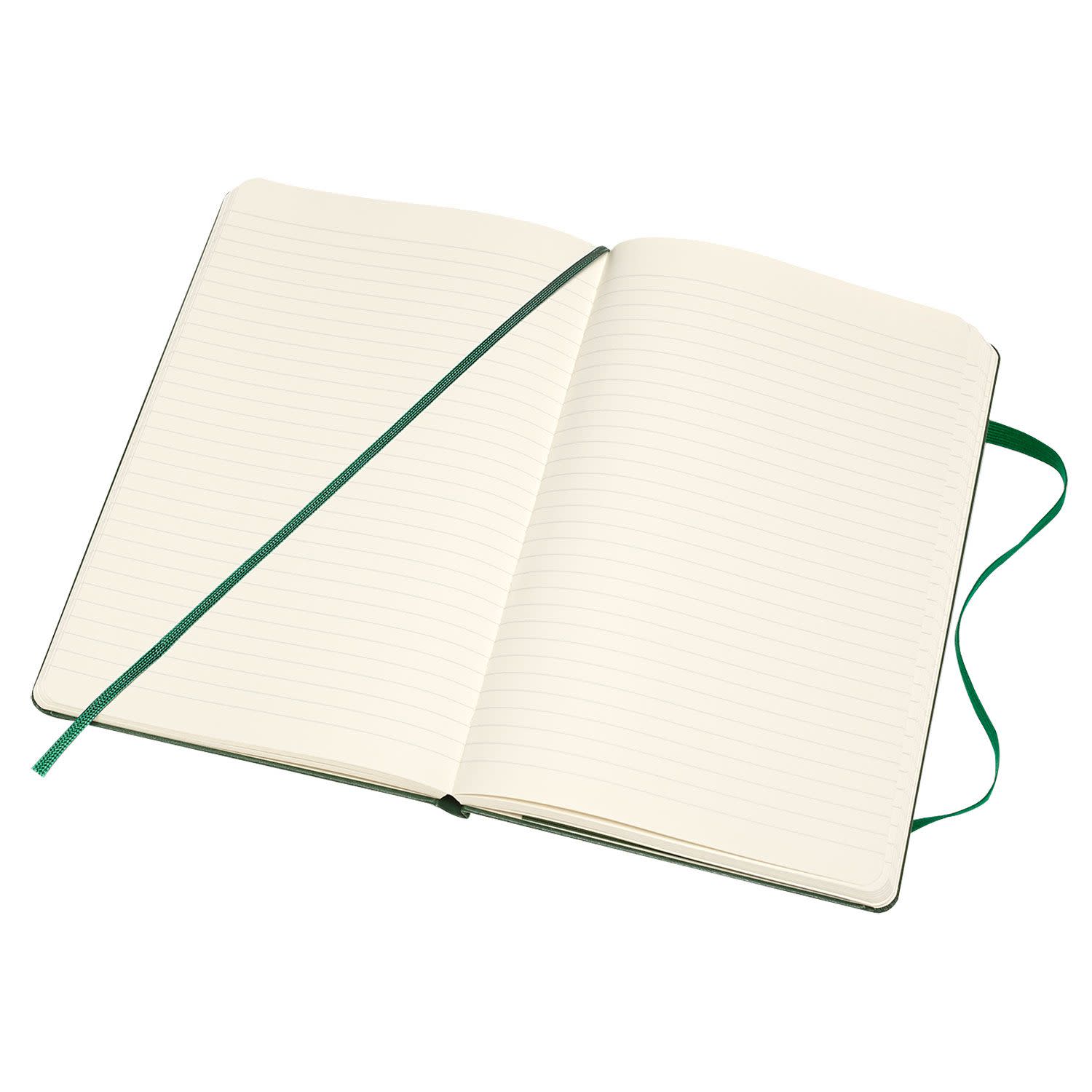 Εικόνα 5 του Moleskine Σημειωματάριο Ριγέ Large Myrtle Green Με Σκληρό Εξώφυλλο