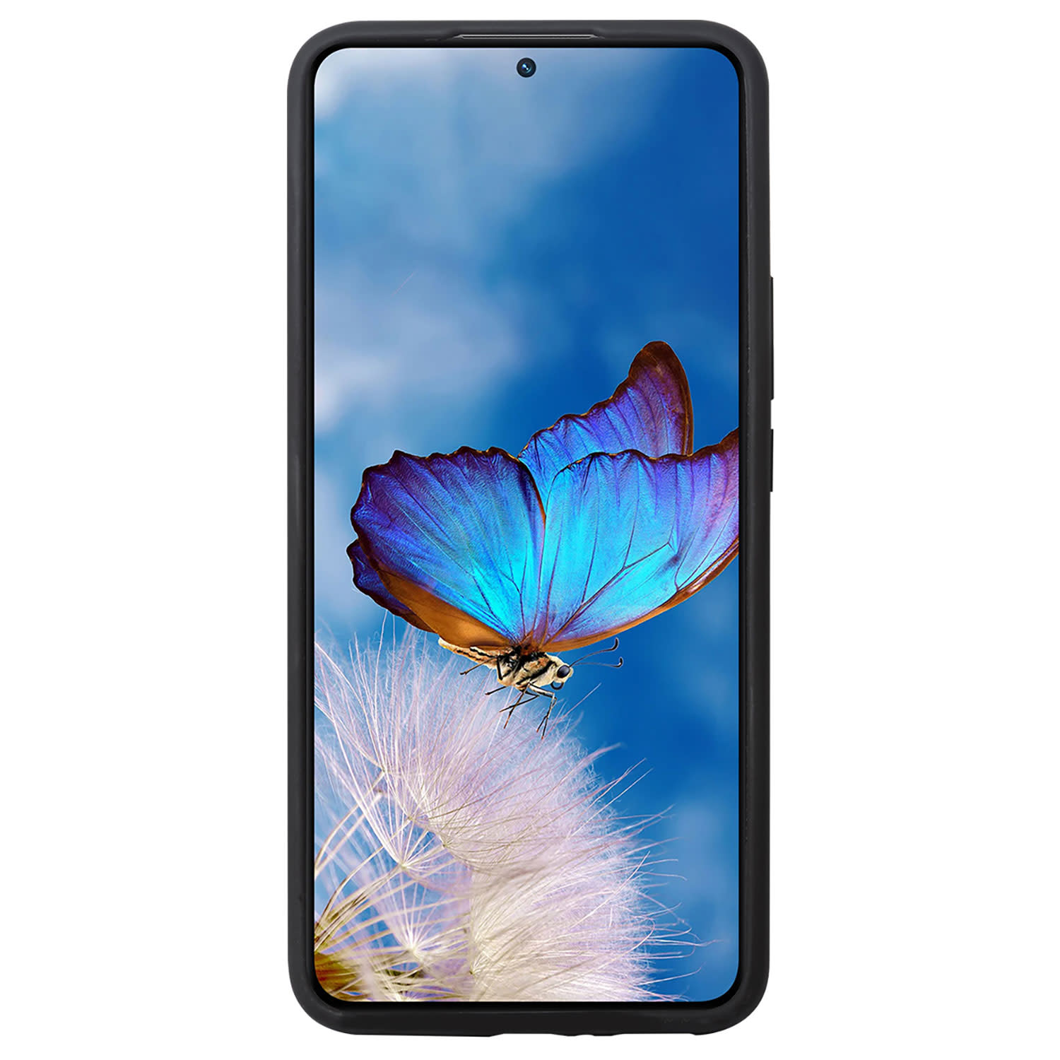 Εικόνα 4 του Sentio Θήκη Pure για Xiaomi 12T