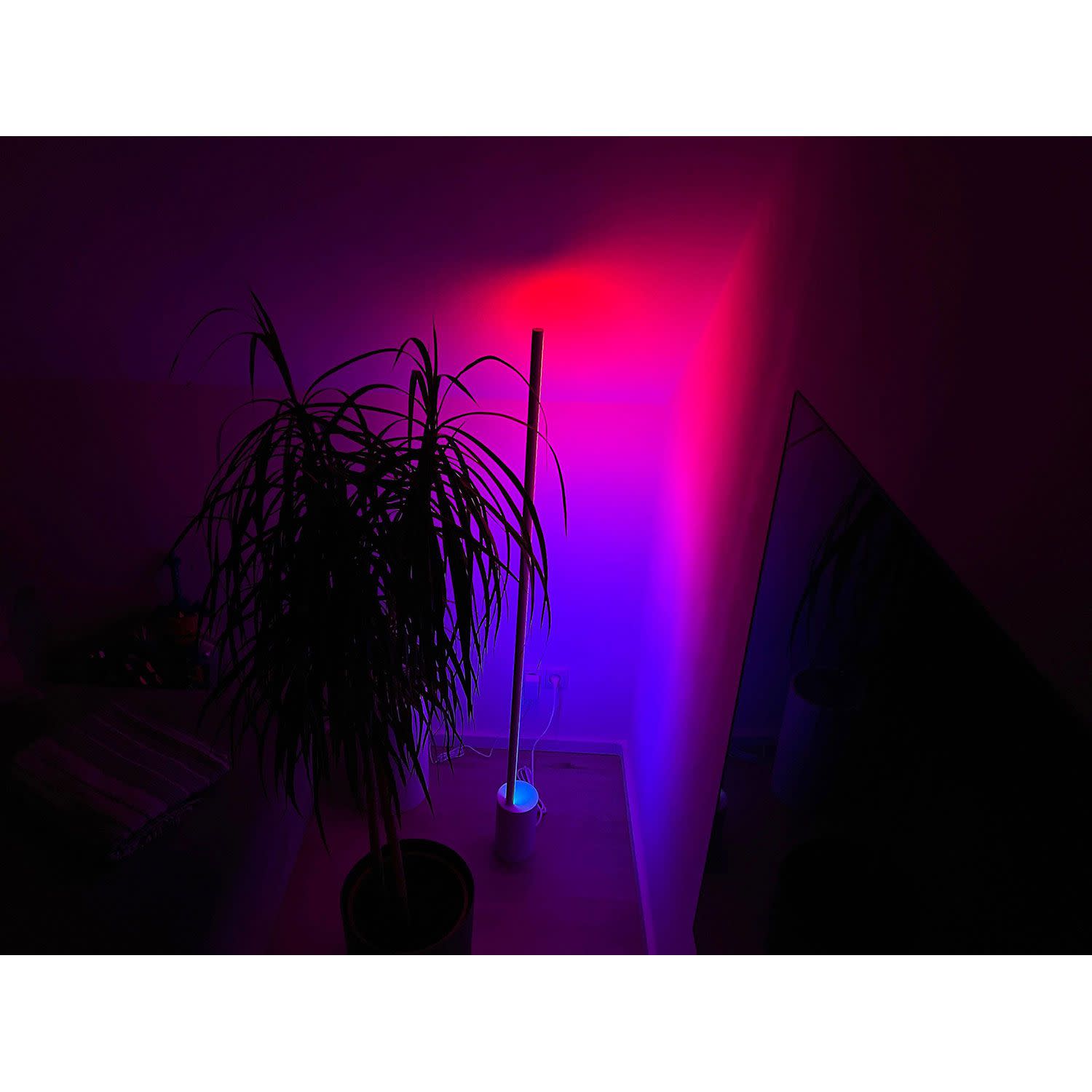 Εικόνα 4 του Philips Hue Gradient Signe Floor Black