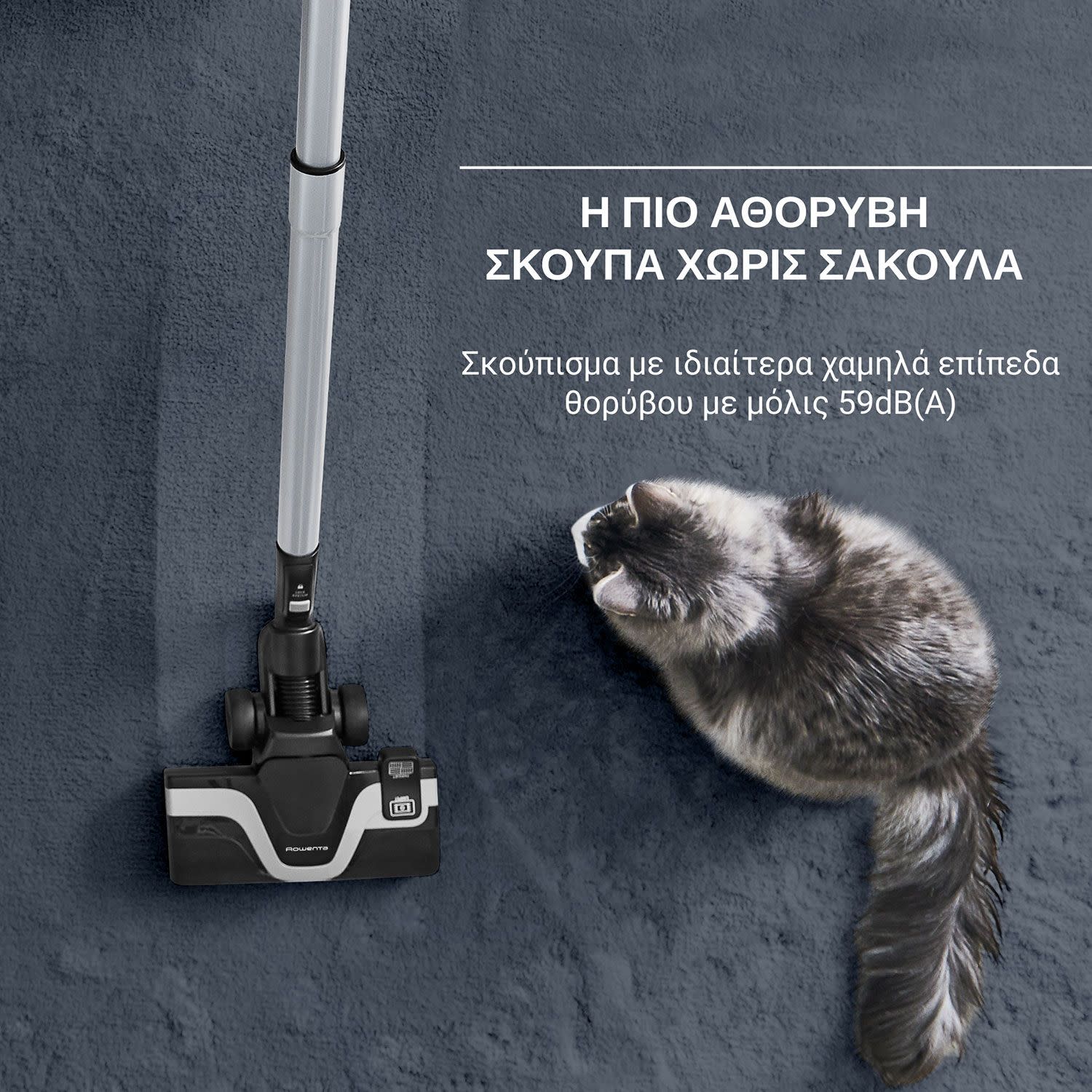 Εικόνα 5 του Rowenta Σκούπα Με Κάδο RO7933