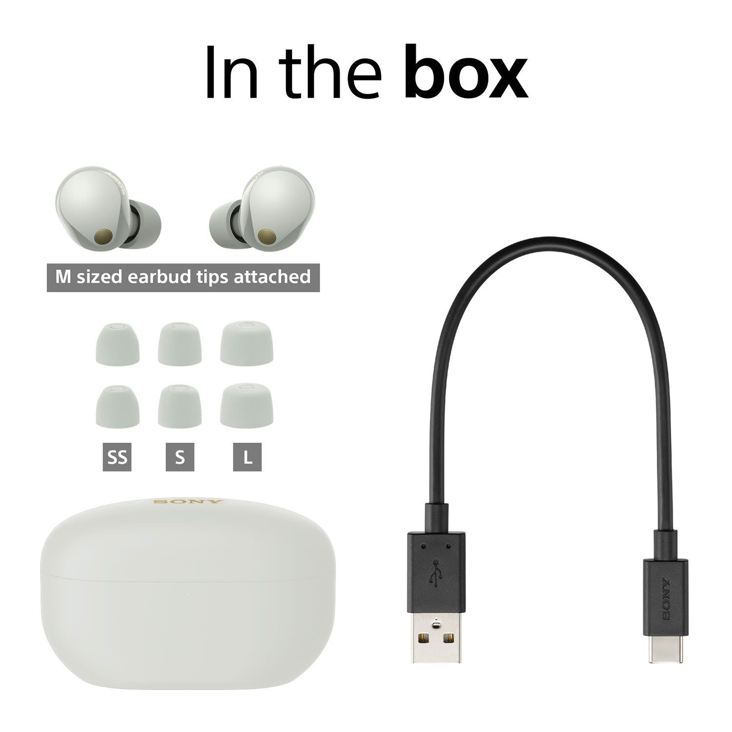 Εικόνα 10 του Sony Bluetooth WF-1000XM5 Ασημί