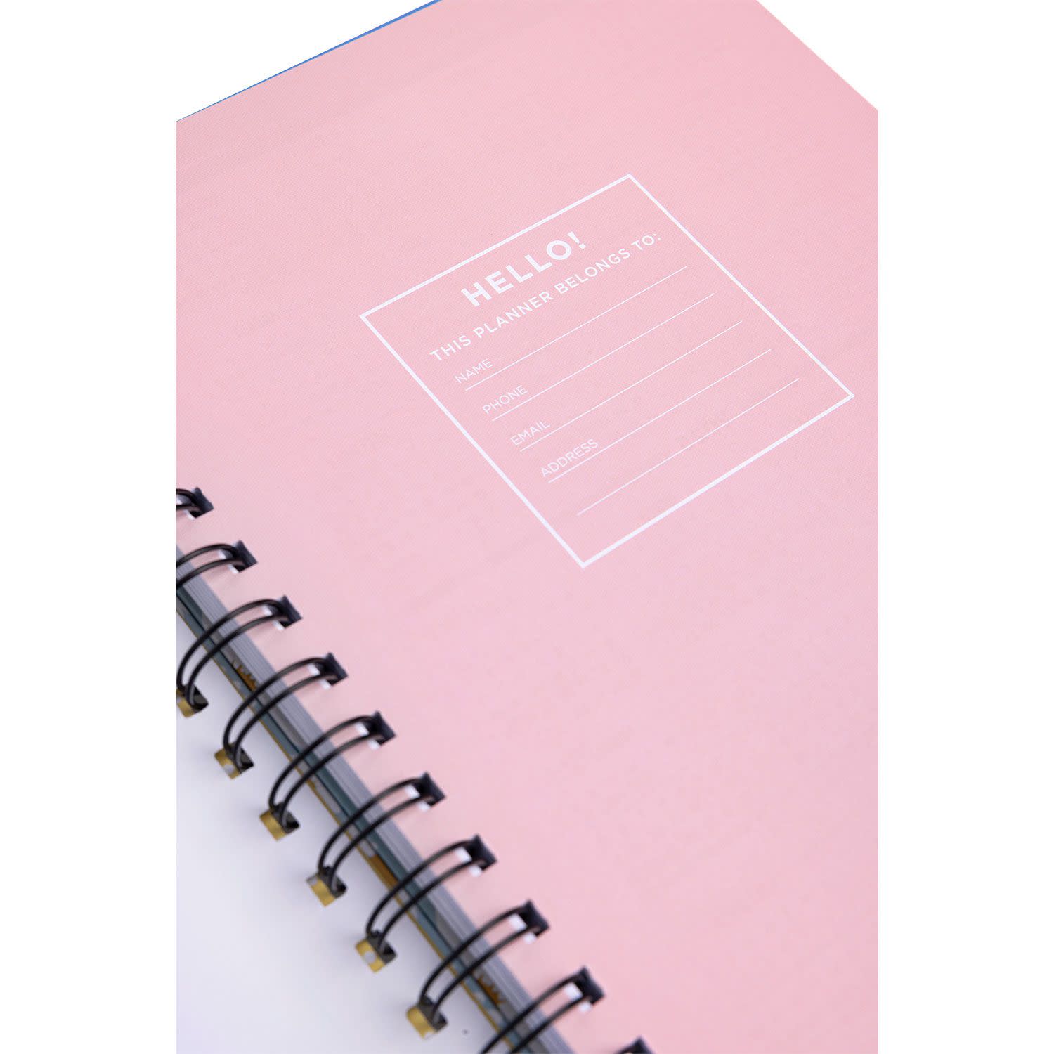 Εικόνα 6 του Sentio Σπιράλ Planner με Σελιδοδείκτη Daisies