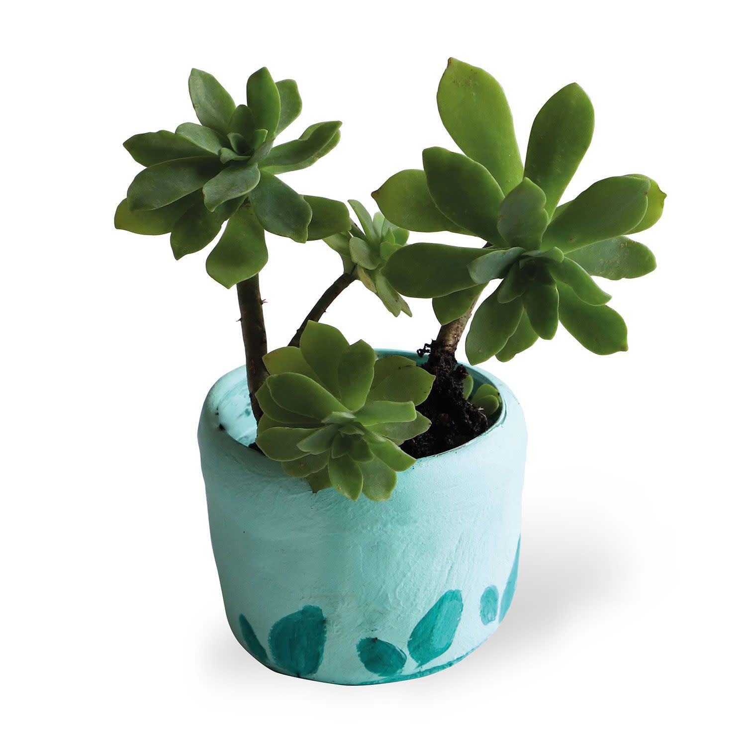 Κάνε κλικ για να δεις την εικόνα 4 του PRIMO CMP Πηλός Pastel Light Green 500gr