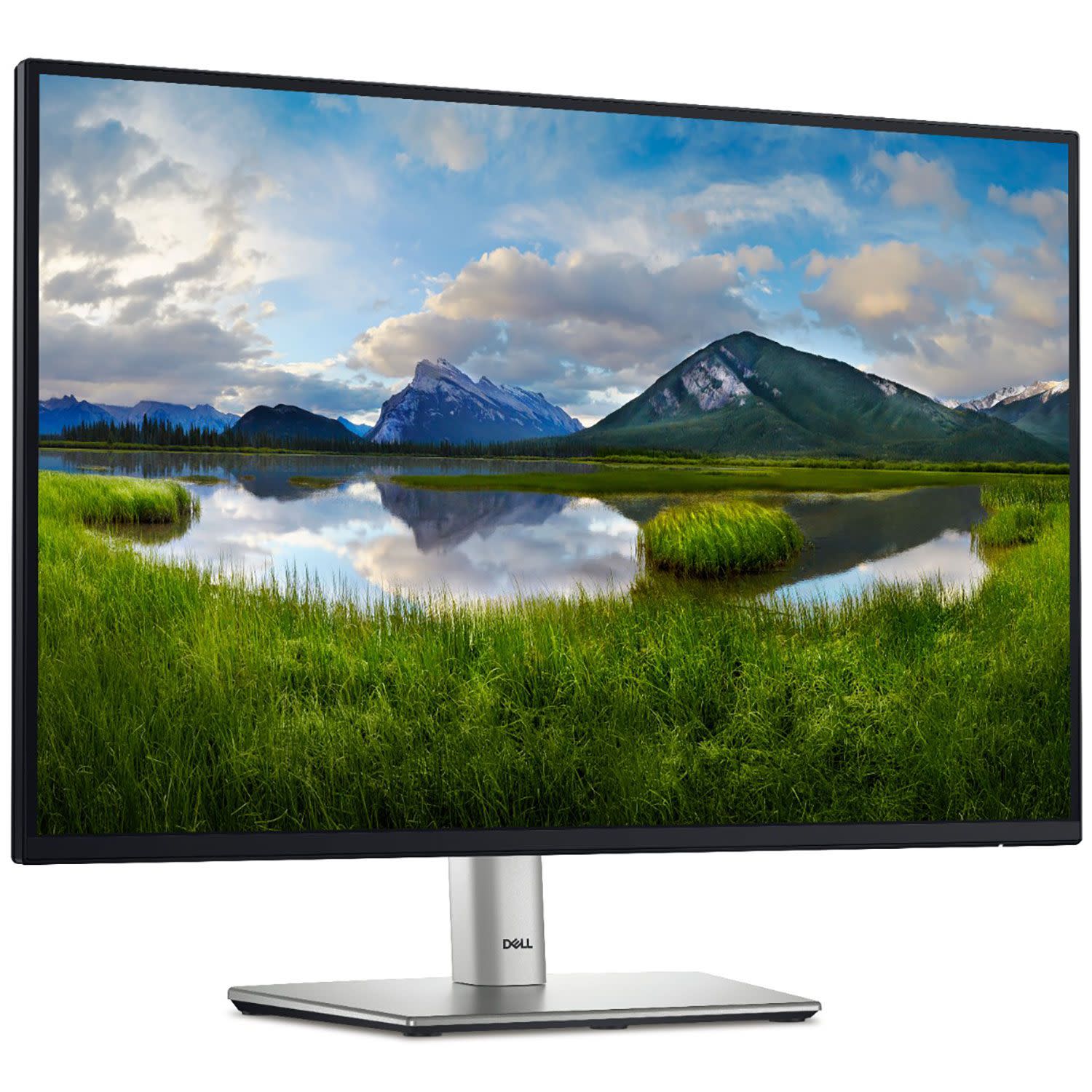 Εικόνα 3 του Dell Monitor 24" P2425