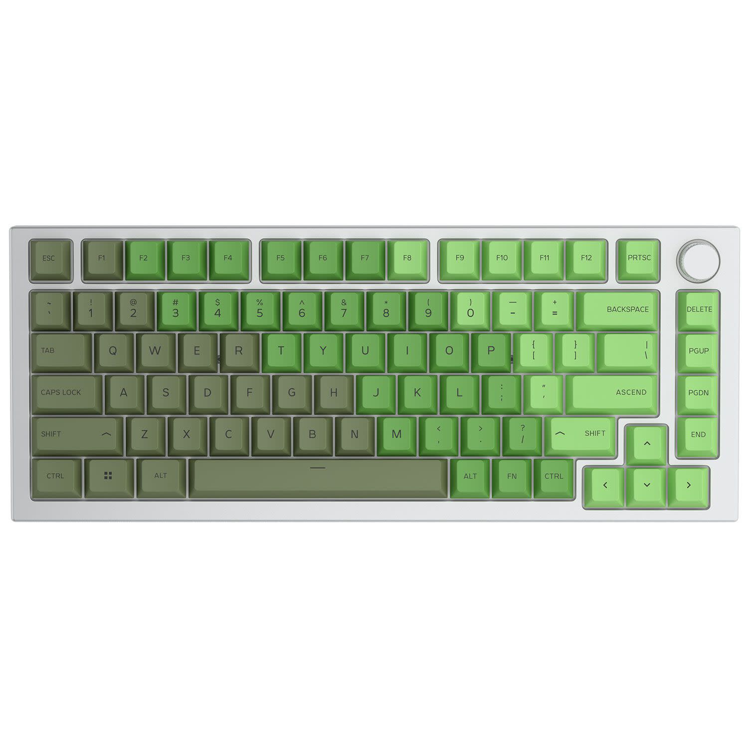 Εικόνα 3 του Glorious Keycaps GPBT Olive