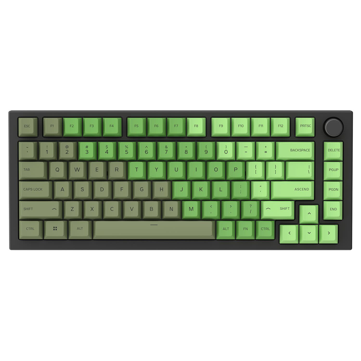 Εικόνα 4 του Glorious Keycaps GPBT Olive