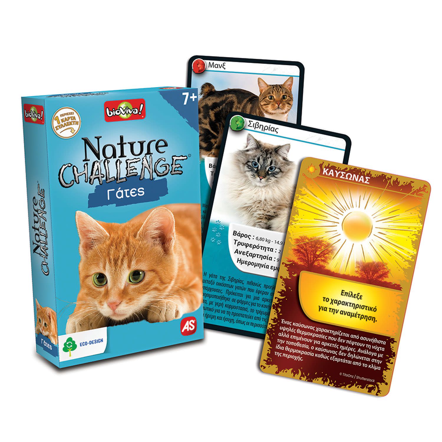 Εικόνα 5 του AS Παιχνίδι Με Κάρτες Nature Challenge Ζώα (1040-90134)