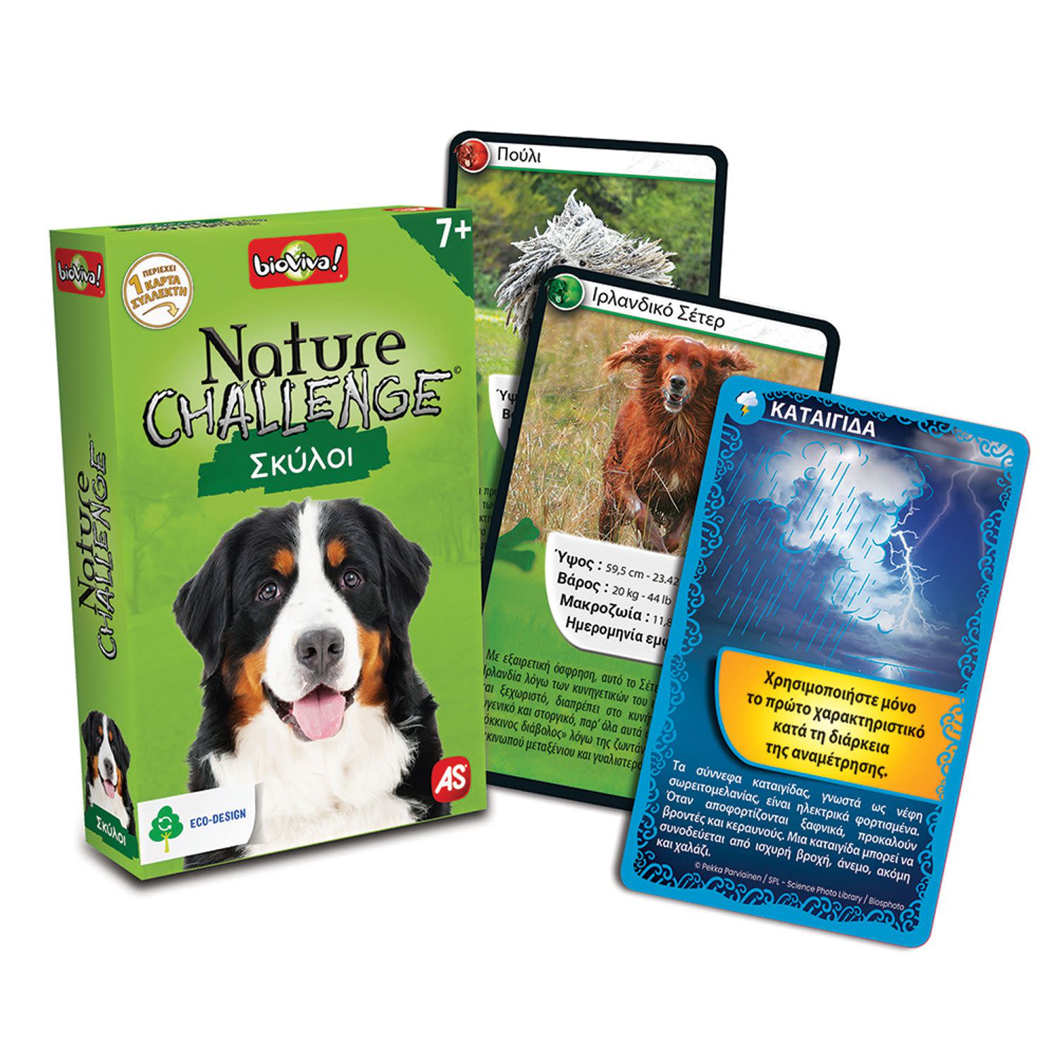 Εικόνα 7 του AS Παιχνίδι Με Κάρτες Nature Challenge Ζώα (1040-90134)