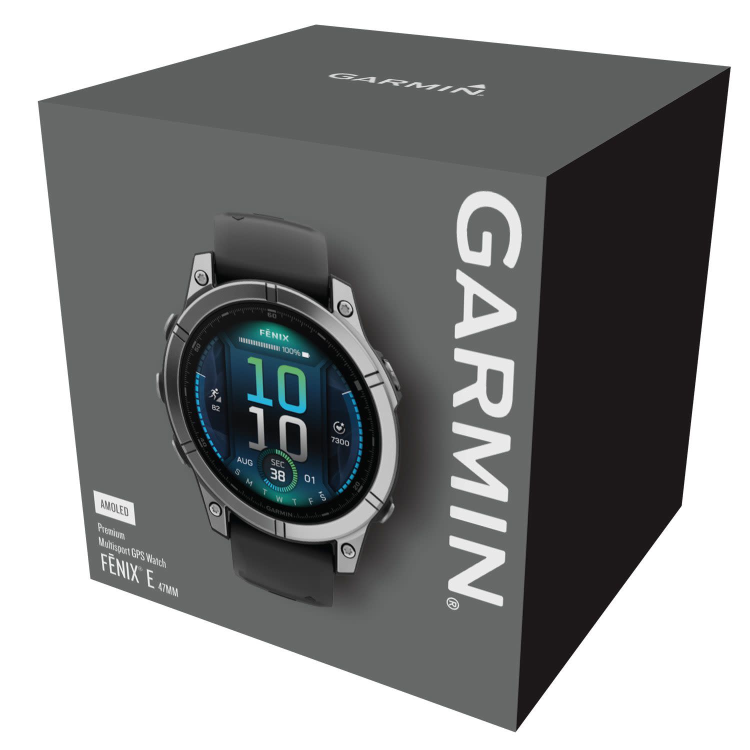 Εικόνα 7 του Garmin Fenix E 47mm Silver with Black