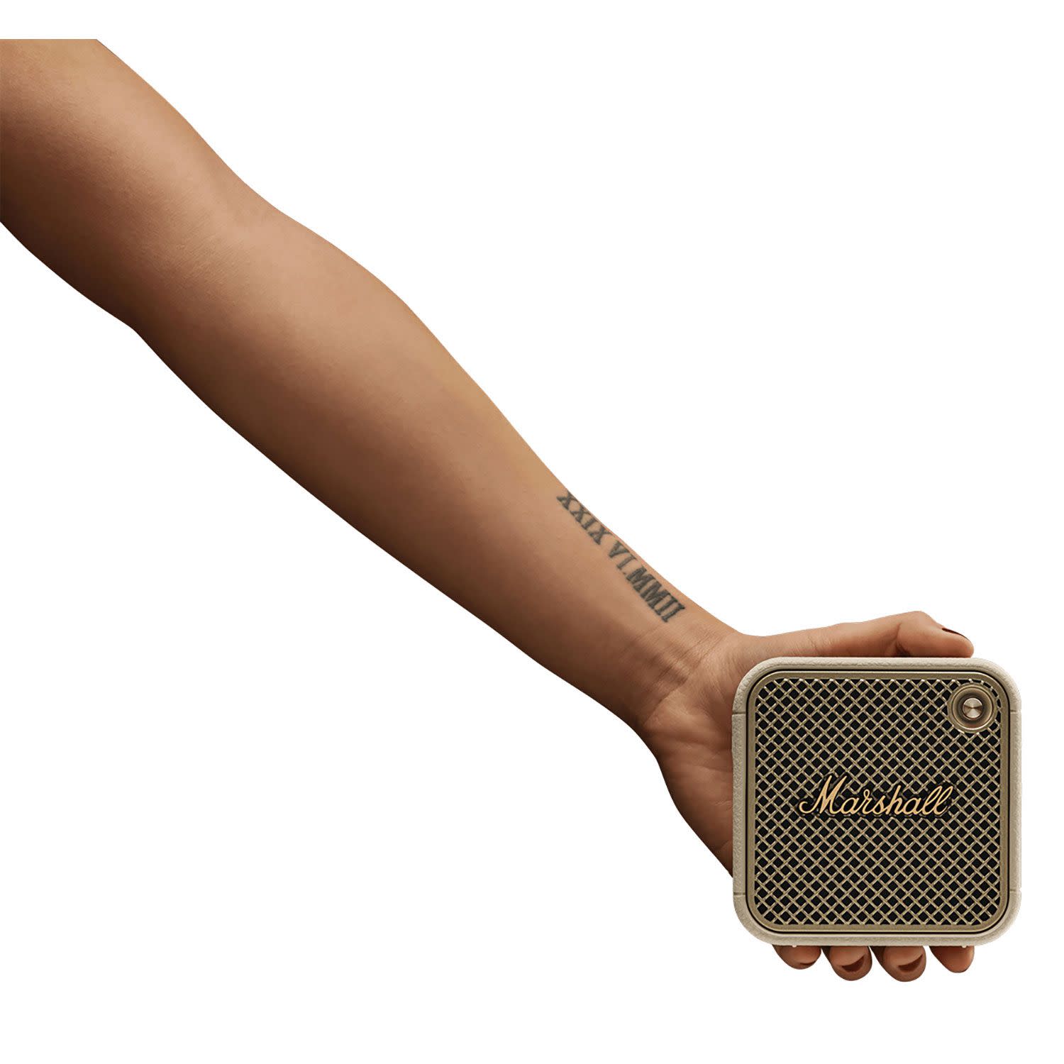 Εικόνα 7 του Marshall Willen II Cream