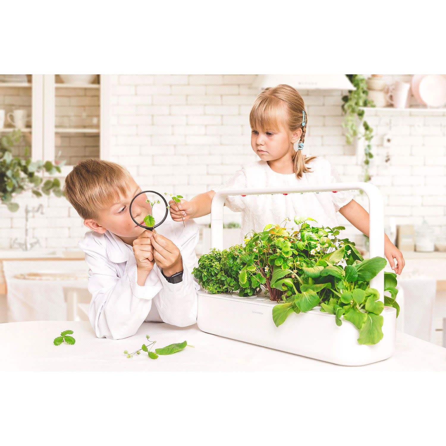 Κάνε κλικ για να δεις την εικόνα 3 του Click & Grow Smart Garden 9 Pro White