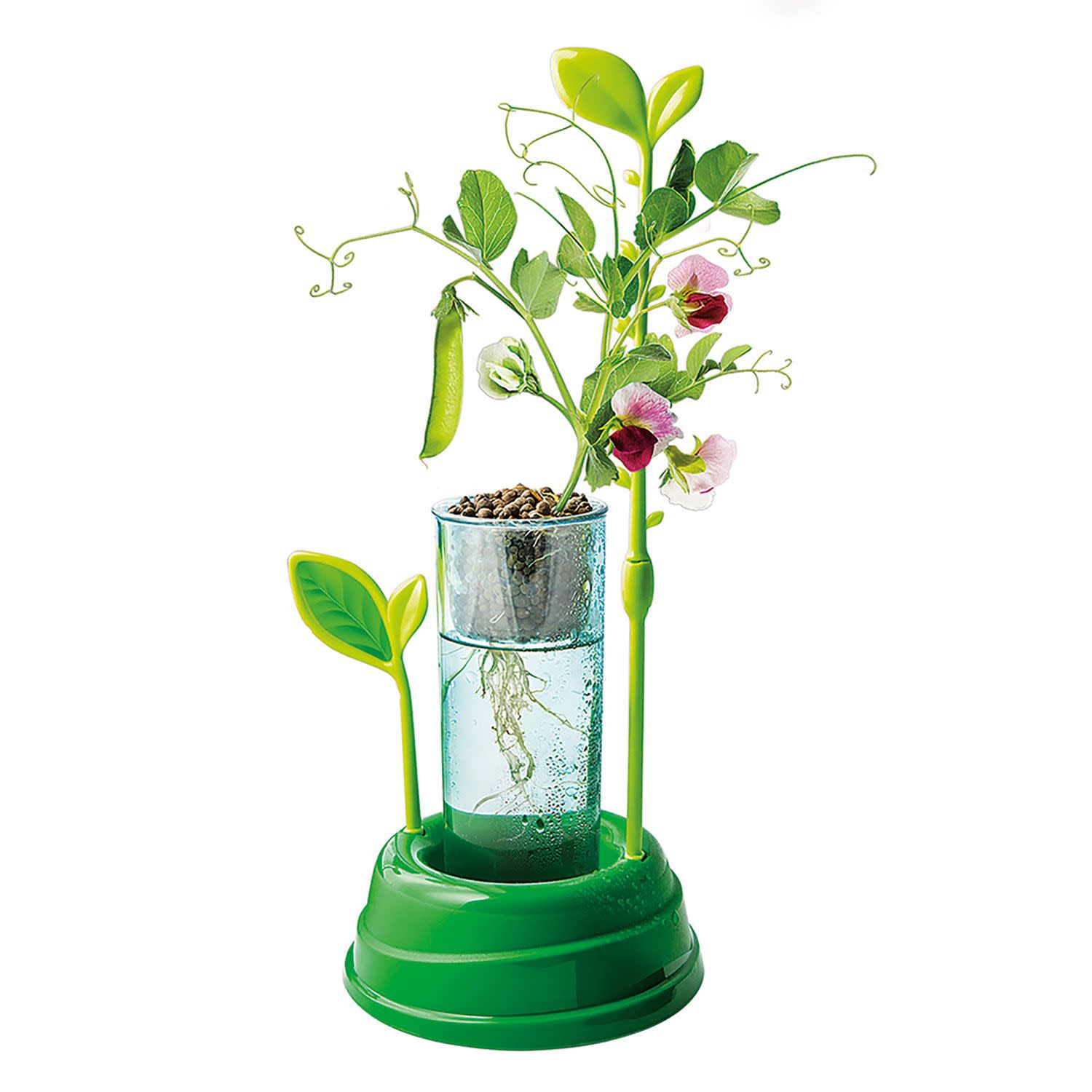 Κάνε κλικ για να δεις την εικόνα 3 του AS Ο Κήπος Μου - Μαθαίνω & Δημιουργώ