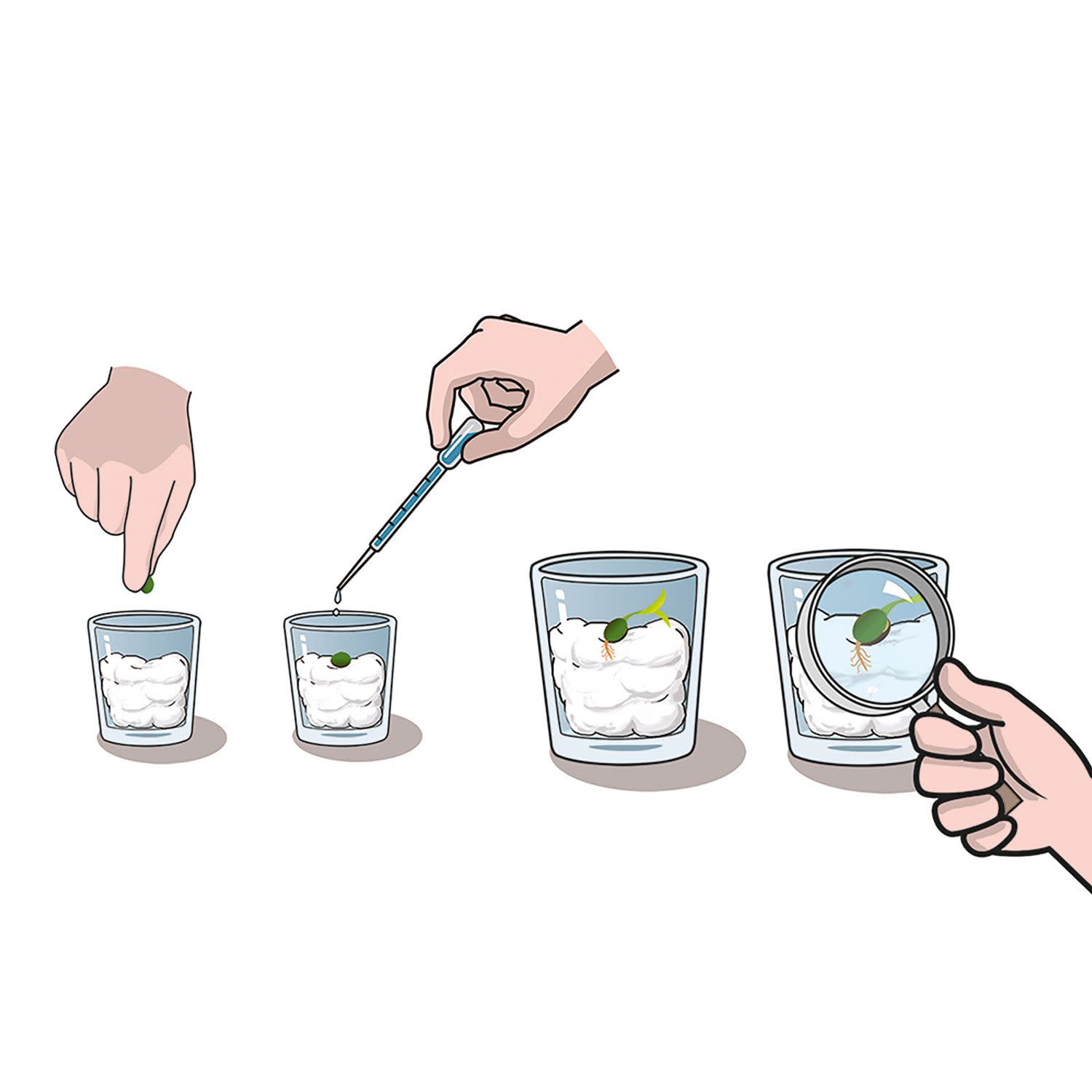 Κάνε κλικ για να δεις την εικόνα 4 του AS Ο Κήπος Μου - Μαθαίνω & Δημιουργώ