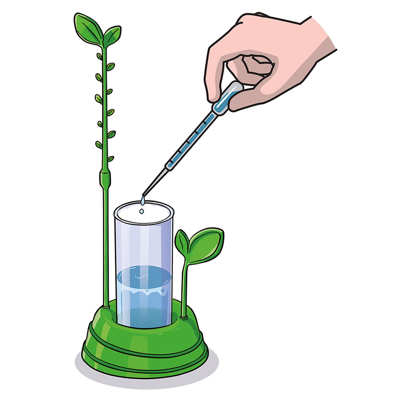 Κάνε κλικ για να δεις την εικόνα 5 του AS Ο Κήπος Μου - Μαθαίνω & Δημιουργώ