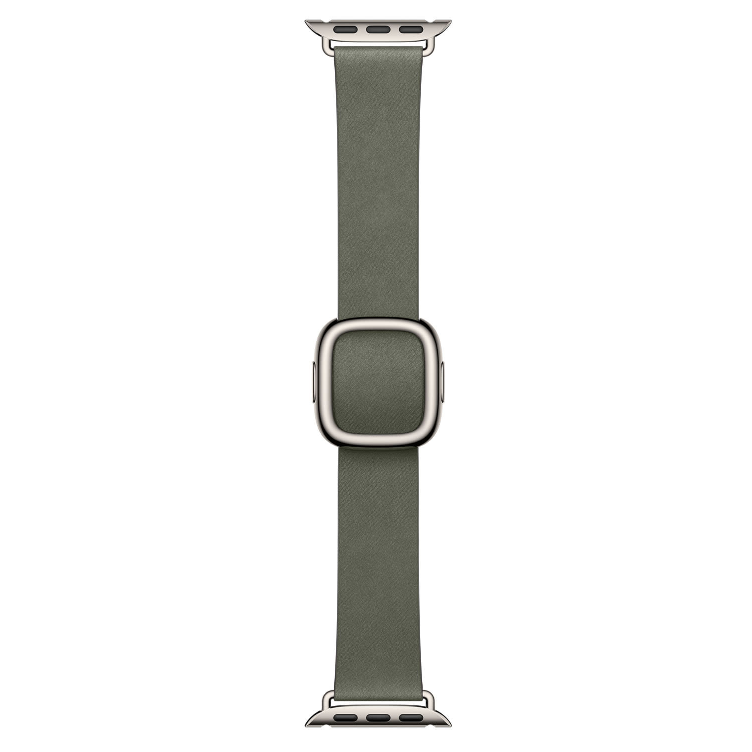 Εικόνα 1 του Apple 42mm Sage Gray Modern Buckle - Small