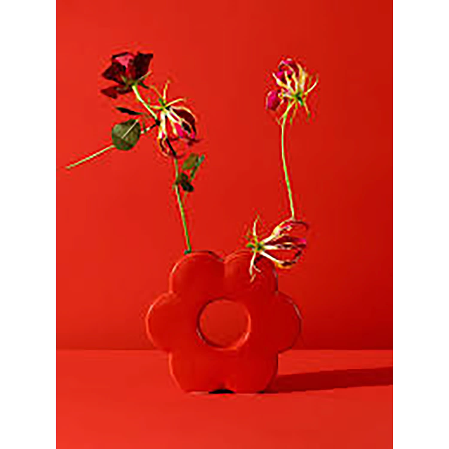 Εικόνα 3 του DOIY Βάζο Μαργαρίτα Κόκκινο