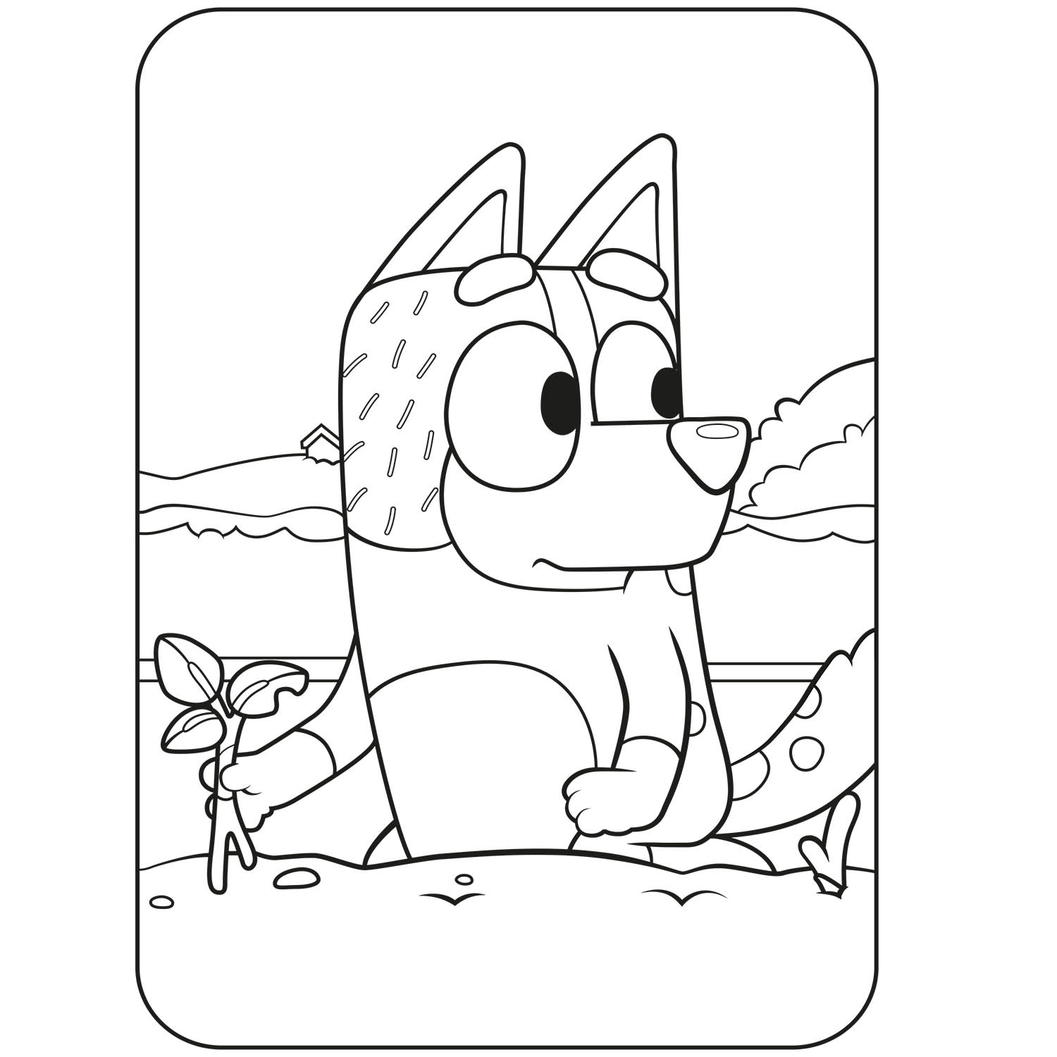 Εικόνα 5 του Bluey: Στη μεγάλη πίσω αυλή