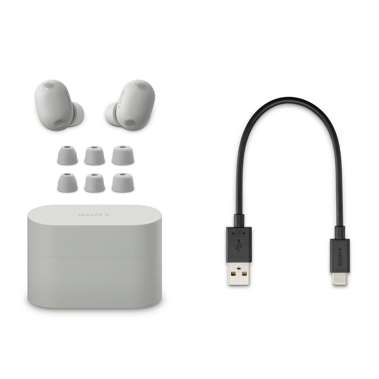 Εικόνα 10 του Sony WF-1000XM6 Platinum Silver