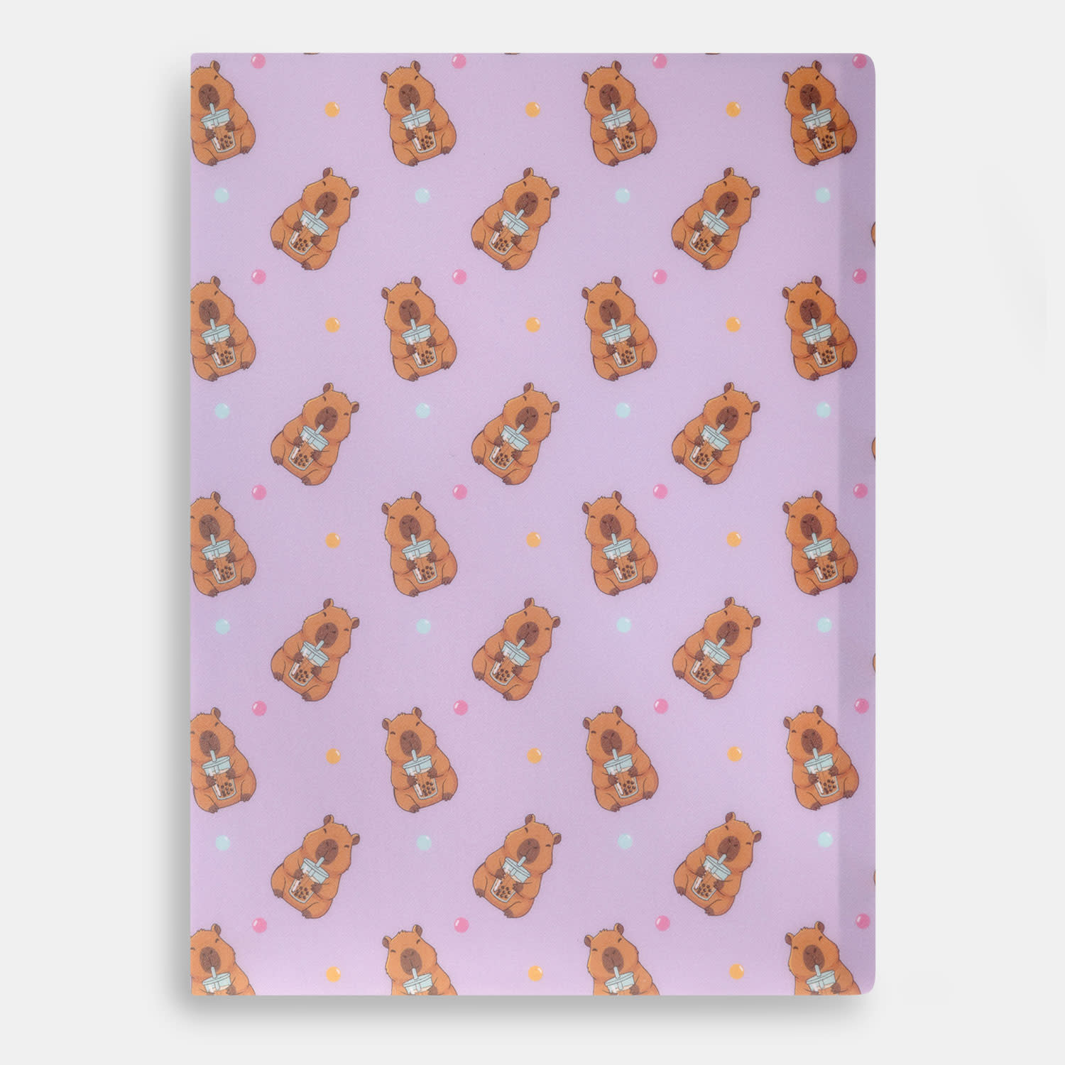 Ντοσιέ με 20 Διαφανείς Θήκες Capybara Goomby