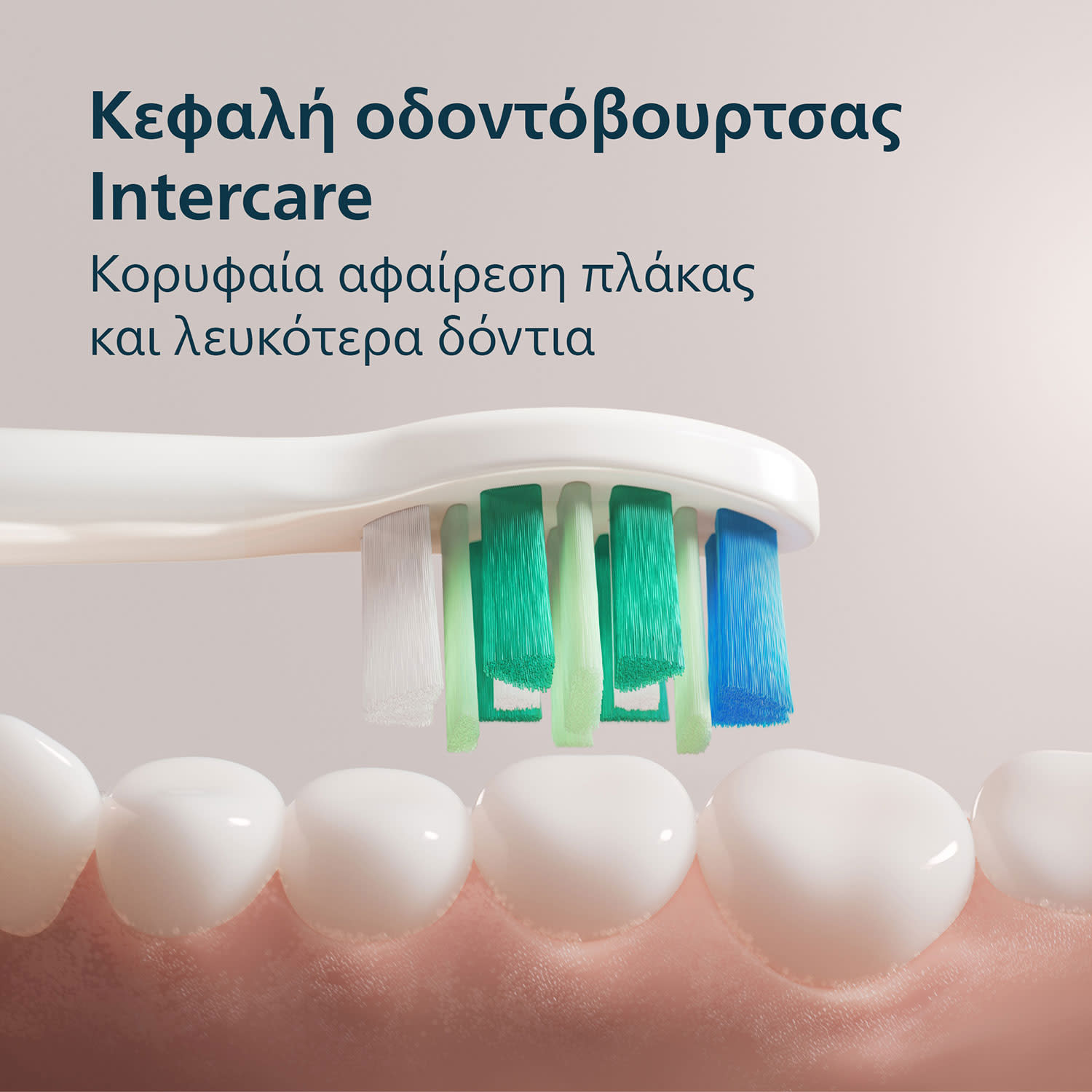 Εικόνα 9 του Philips Οδοντόβουρτσα HX4022/01 Series 2100