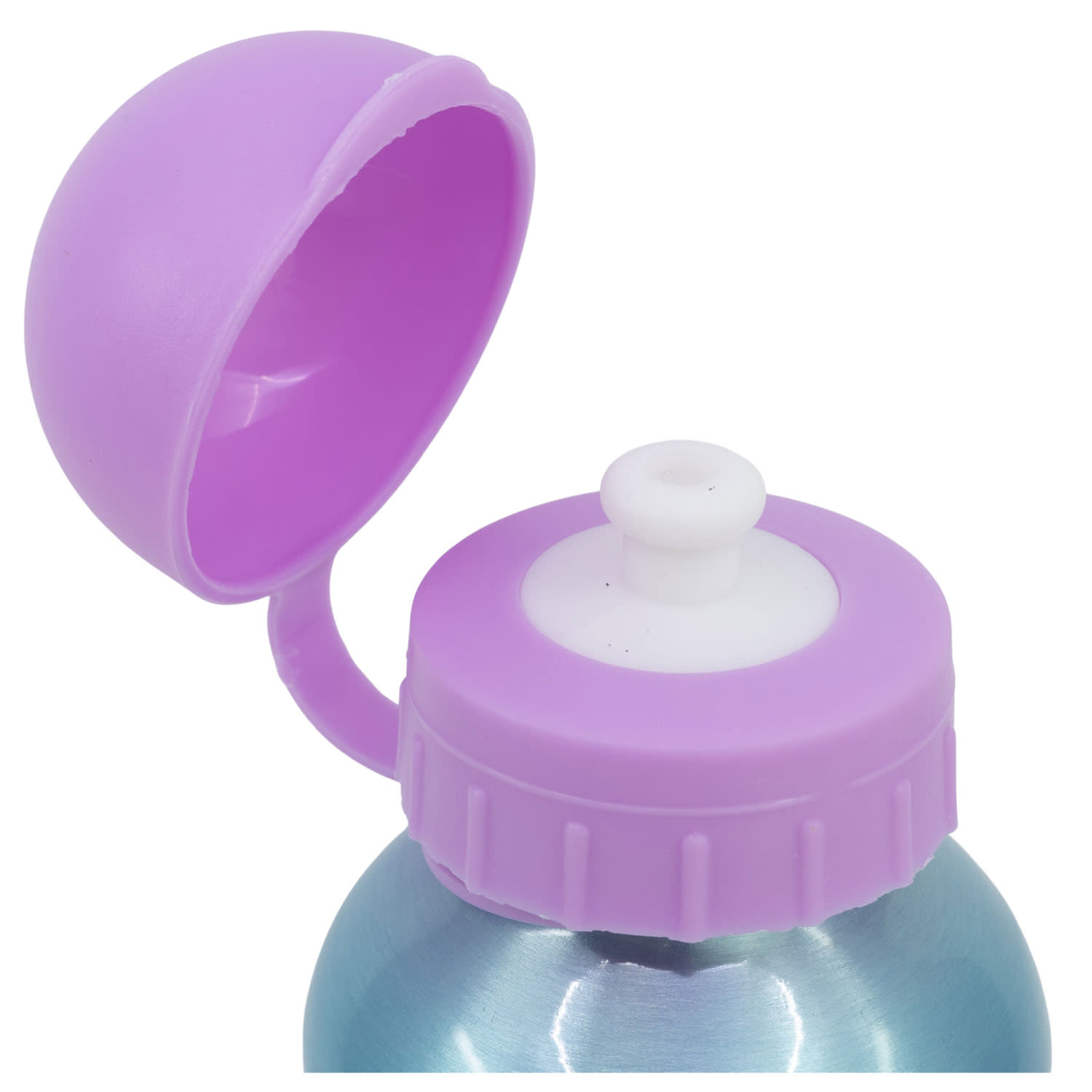 Εικόνα 4 του Stor Παγούρι Αλουμινίου Gabby's Dollhouse 400ml