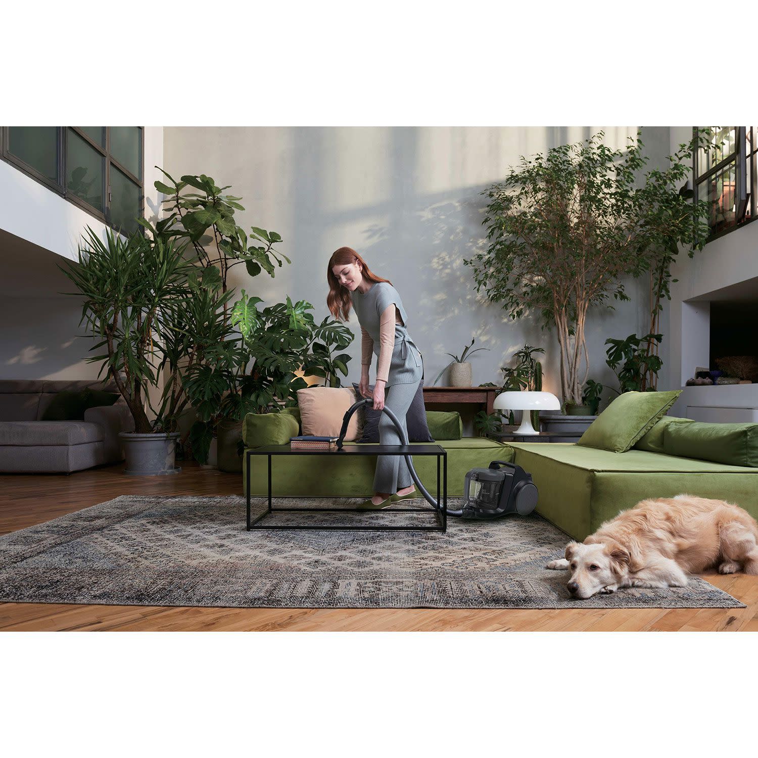 Εικόνα 5 του Hoover Σκούπα Με Κάδο HP210P 011
