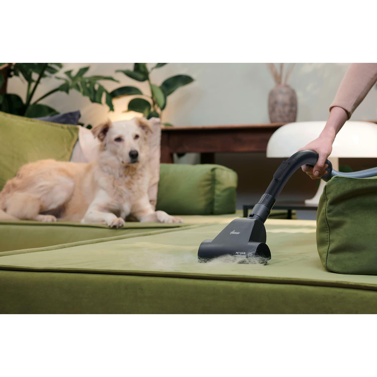 Εικόνα 8 του Hoover Σκούπα Με Κάδο HP210P 011