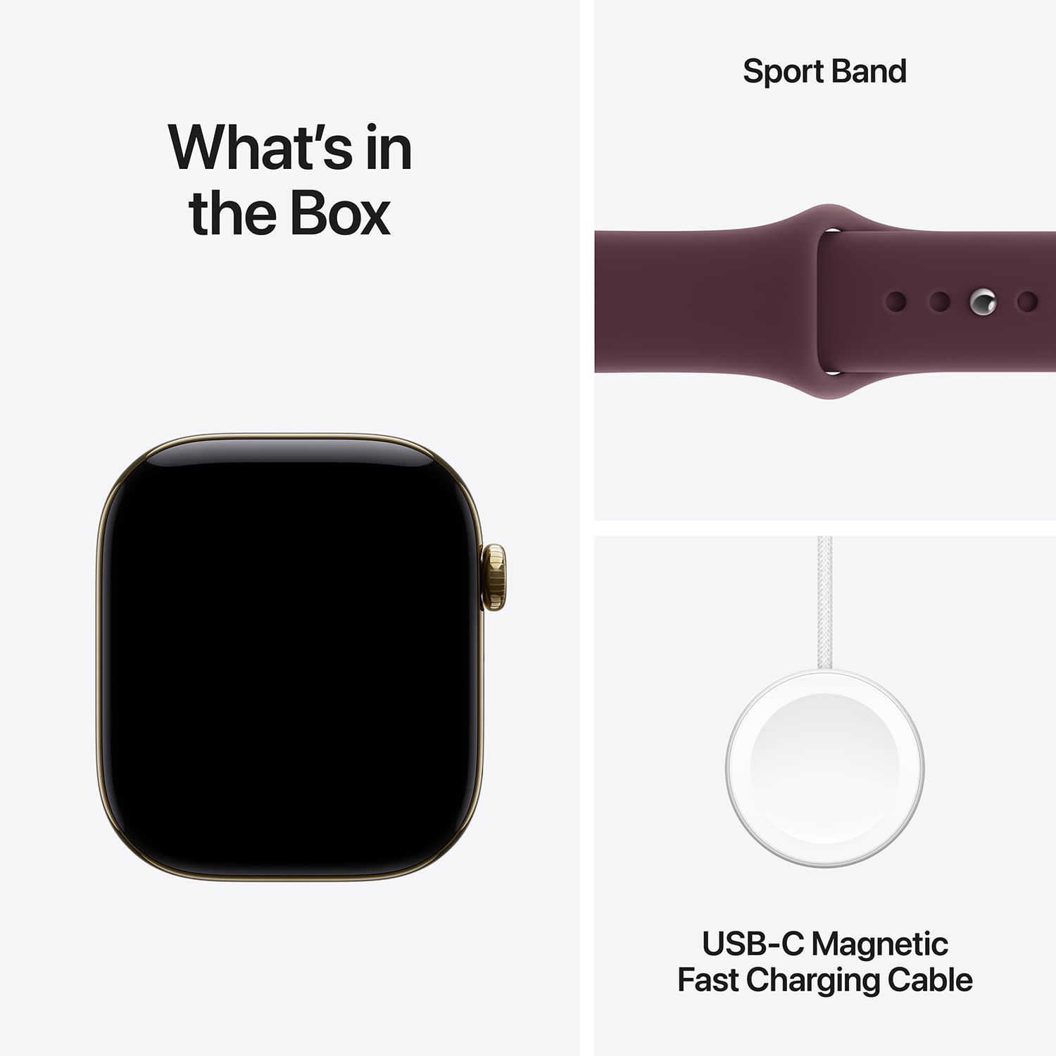 Κάνε κλικ για να δεις την εικόνα 7 του Apple Watch Series 12 Cell 42mm Radiant Gold Titanium with Burgundy Sport Band S/M