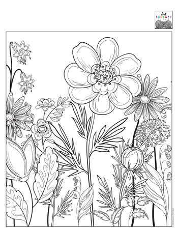 coloring_2