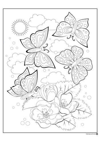 coloring_3