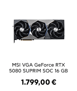 Wednesday Collection Banner