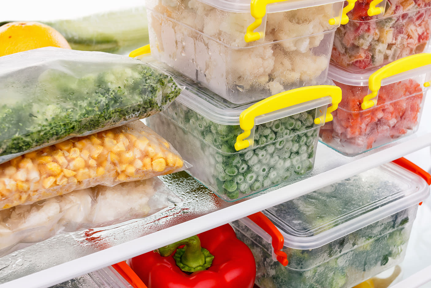 3195147_TILE1_e1e6e9