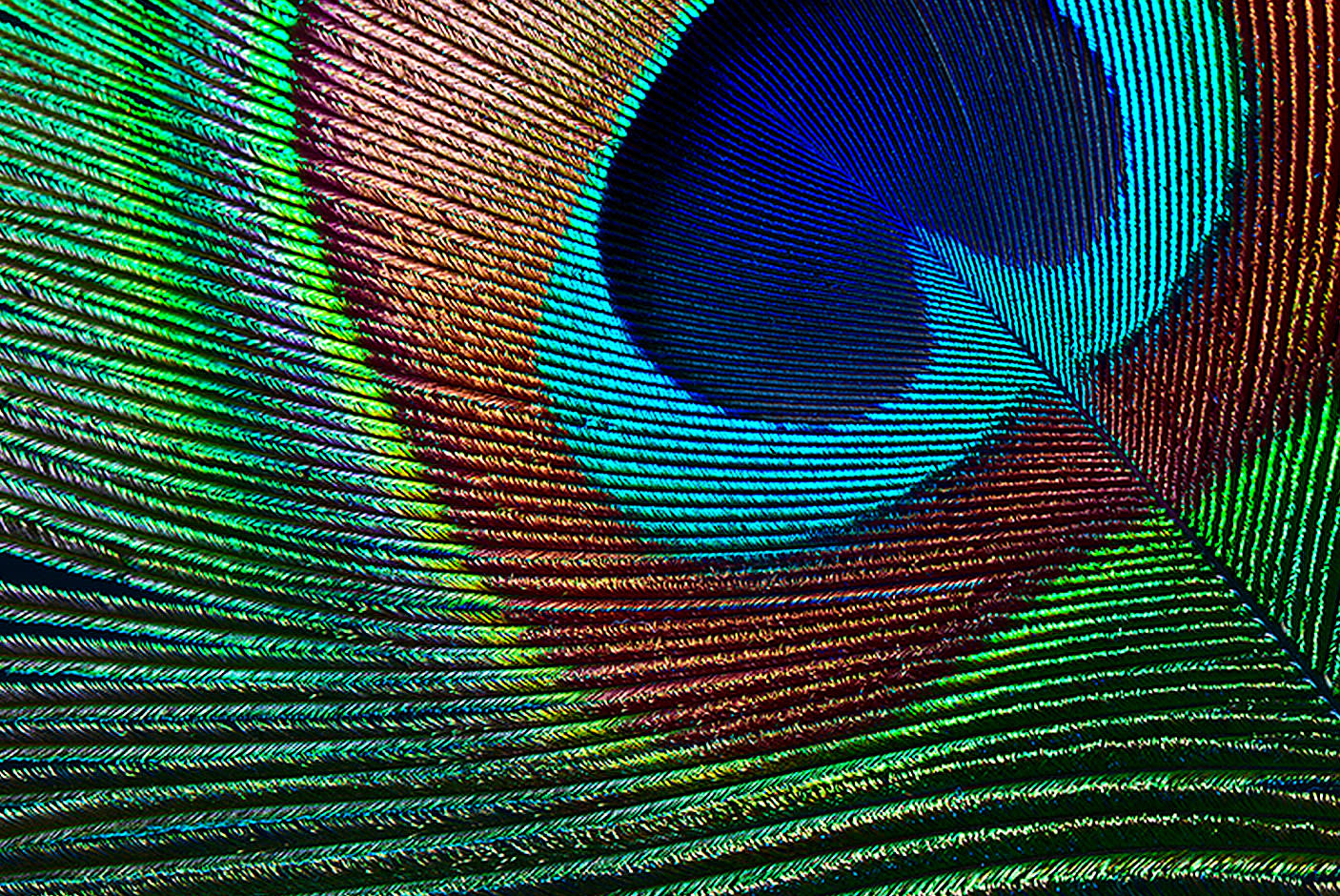 3314596-Tile-4-Epson-EH-TW7000-streaming