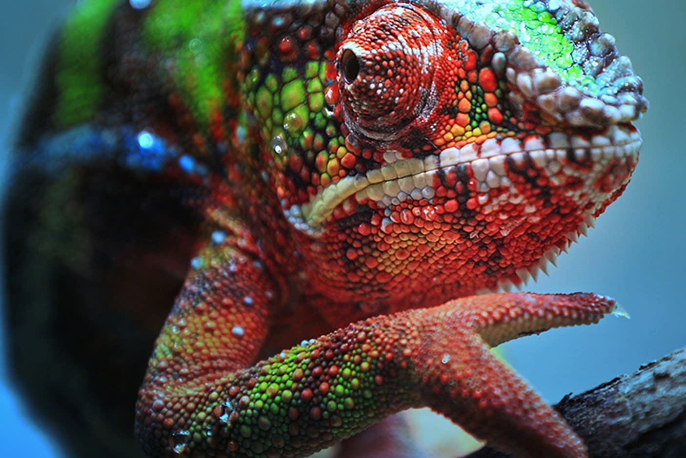 3314596-Tile-6-Epson-EH-TW7000-3LCD