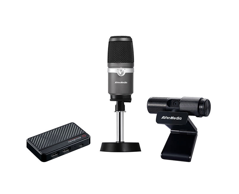  AverMedia Live Streamer 311S