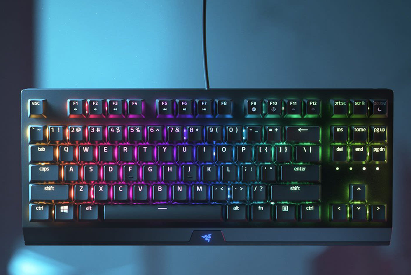 3589463-Tile-1-BlackWidow-V3-TKL-Tenkeyless