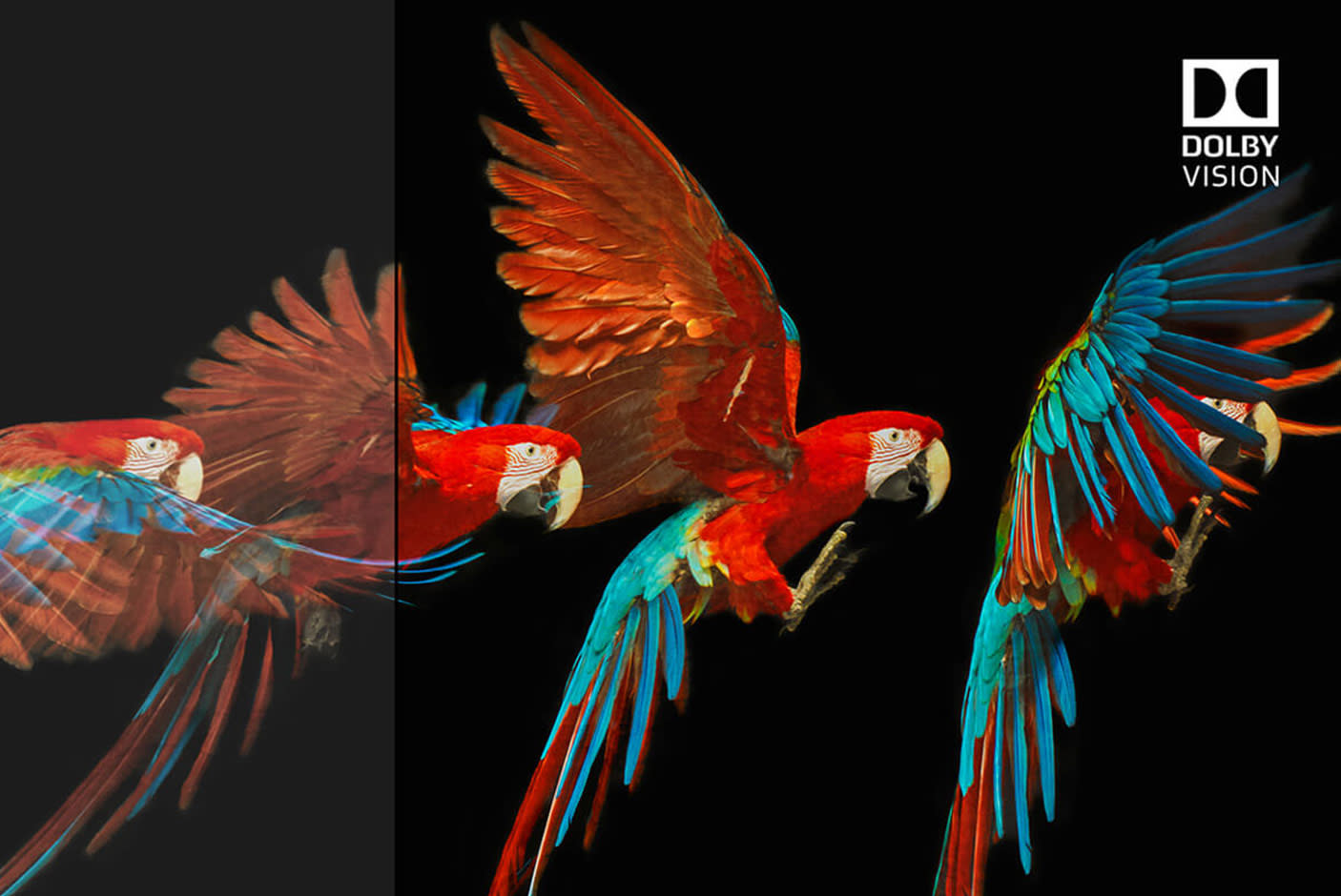 3631796-Tile-3-DVision