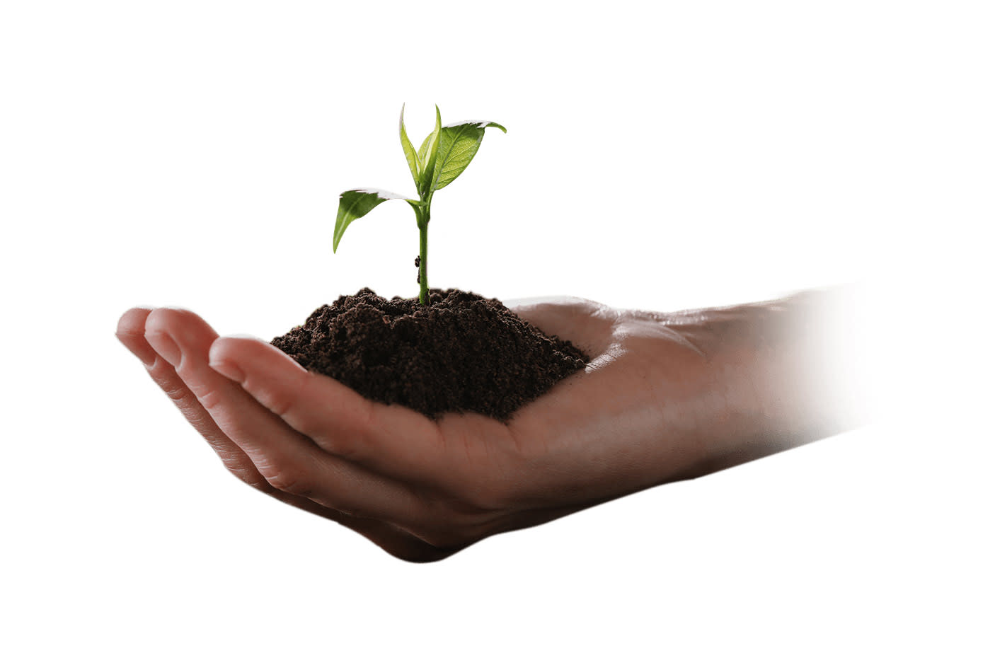 3642720-Tile-4-2023-Energy-Saving