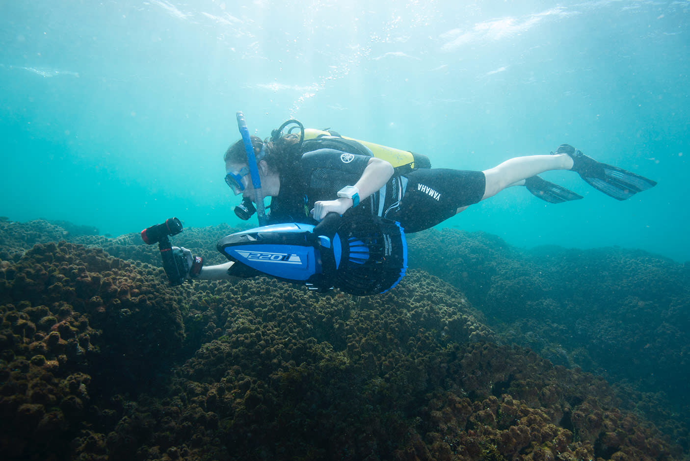 3660931-Tile-1-220Li