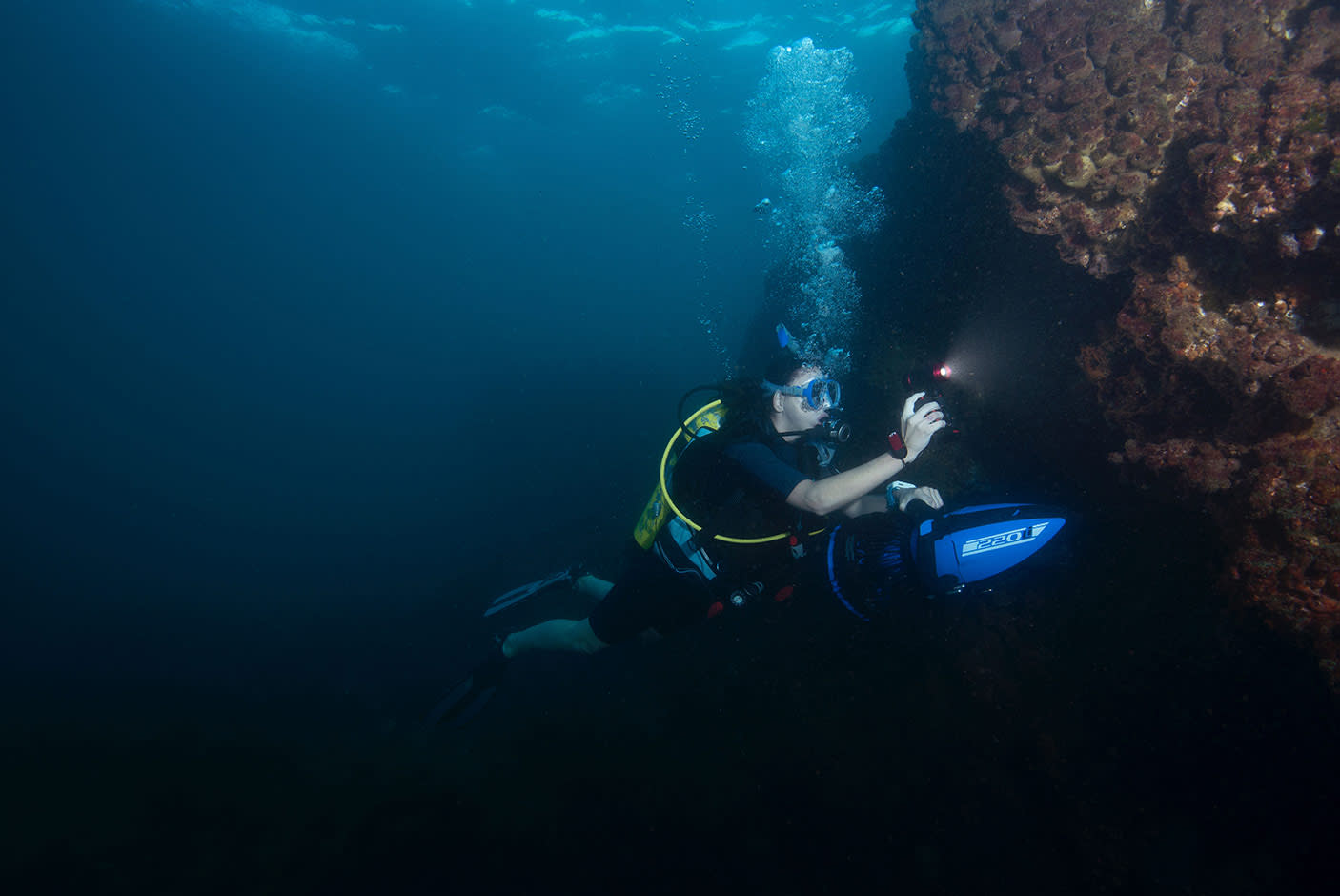 3660931-Tile-2-220Li