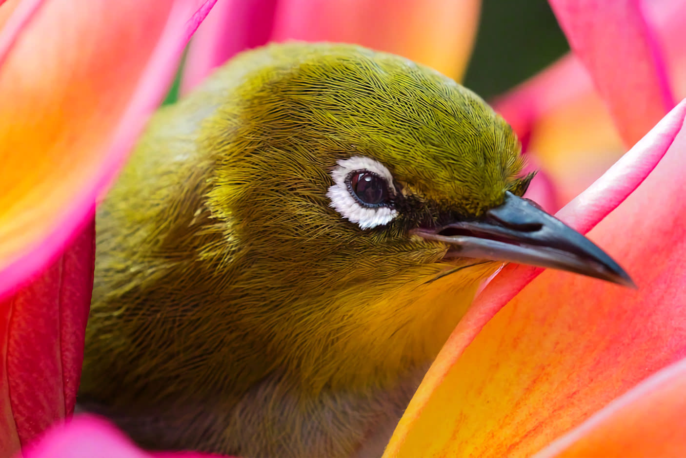 3702170-Tile-2-Sony-XR-X90J-real-4k