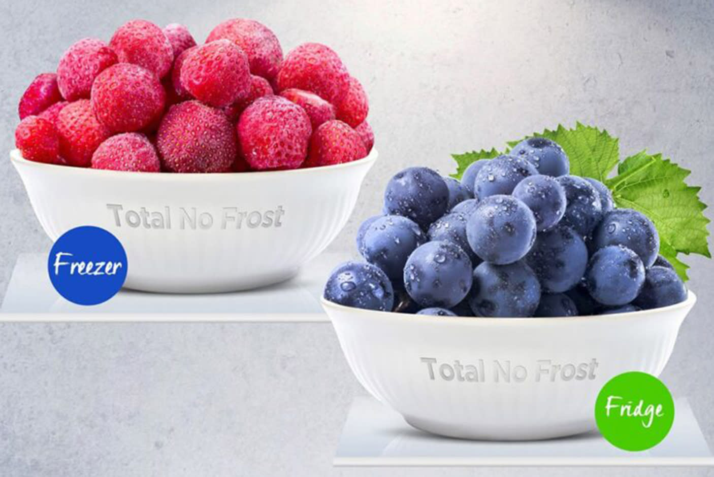 3714616_TILE1_494a4f