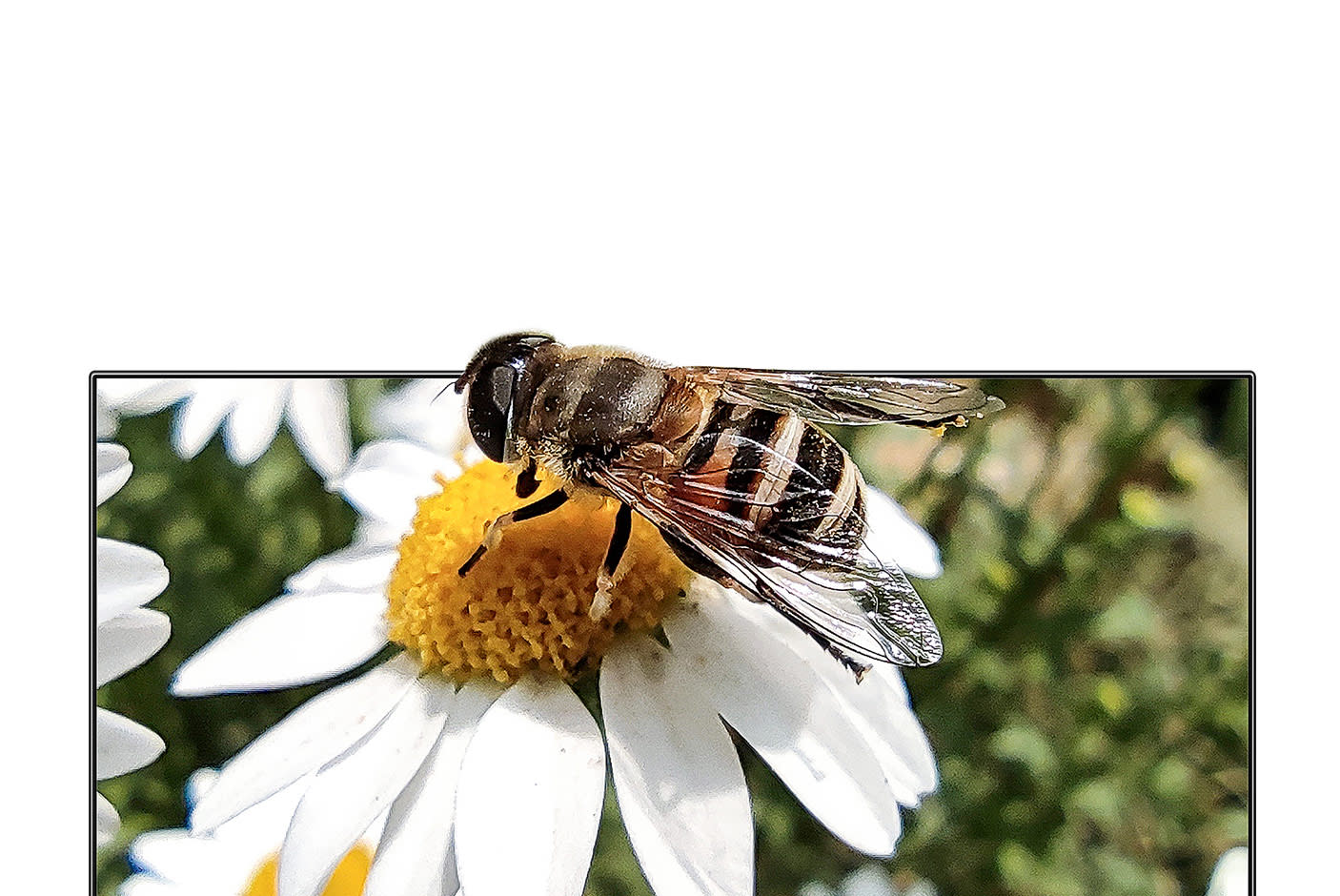 3757420-Tile-2-Xiaomi-Mi-P1