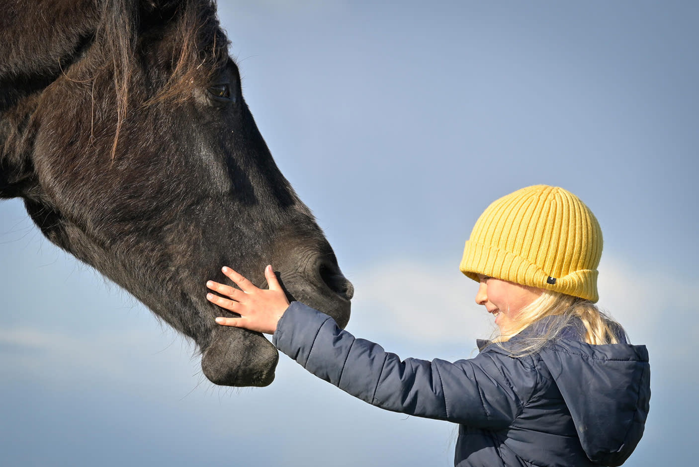 3794768-Tile-6-Nikon-Mirrorless-Zfc-detail