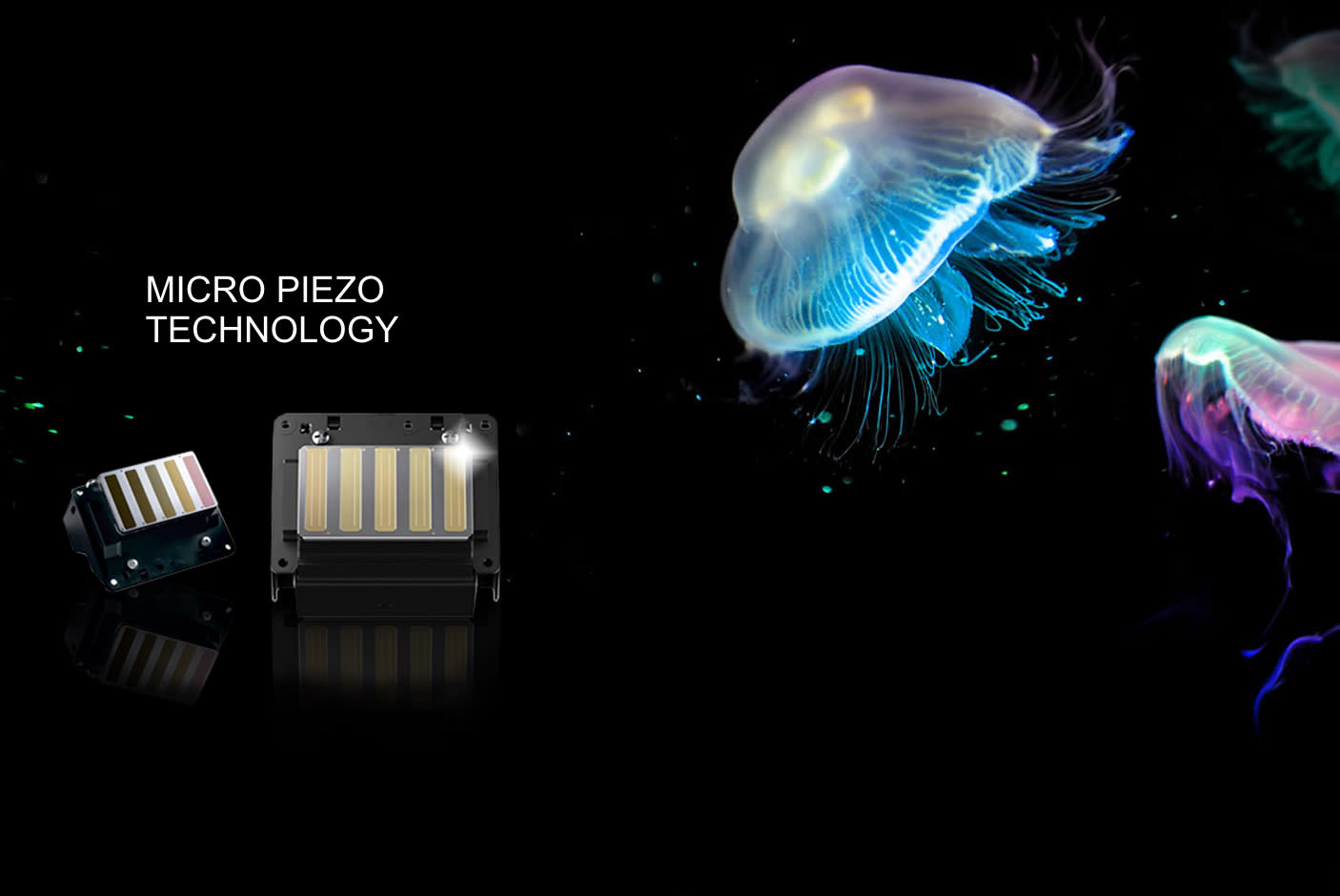 3804895_TILE3_000000